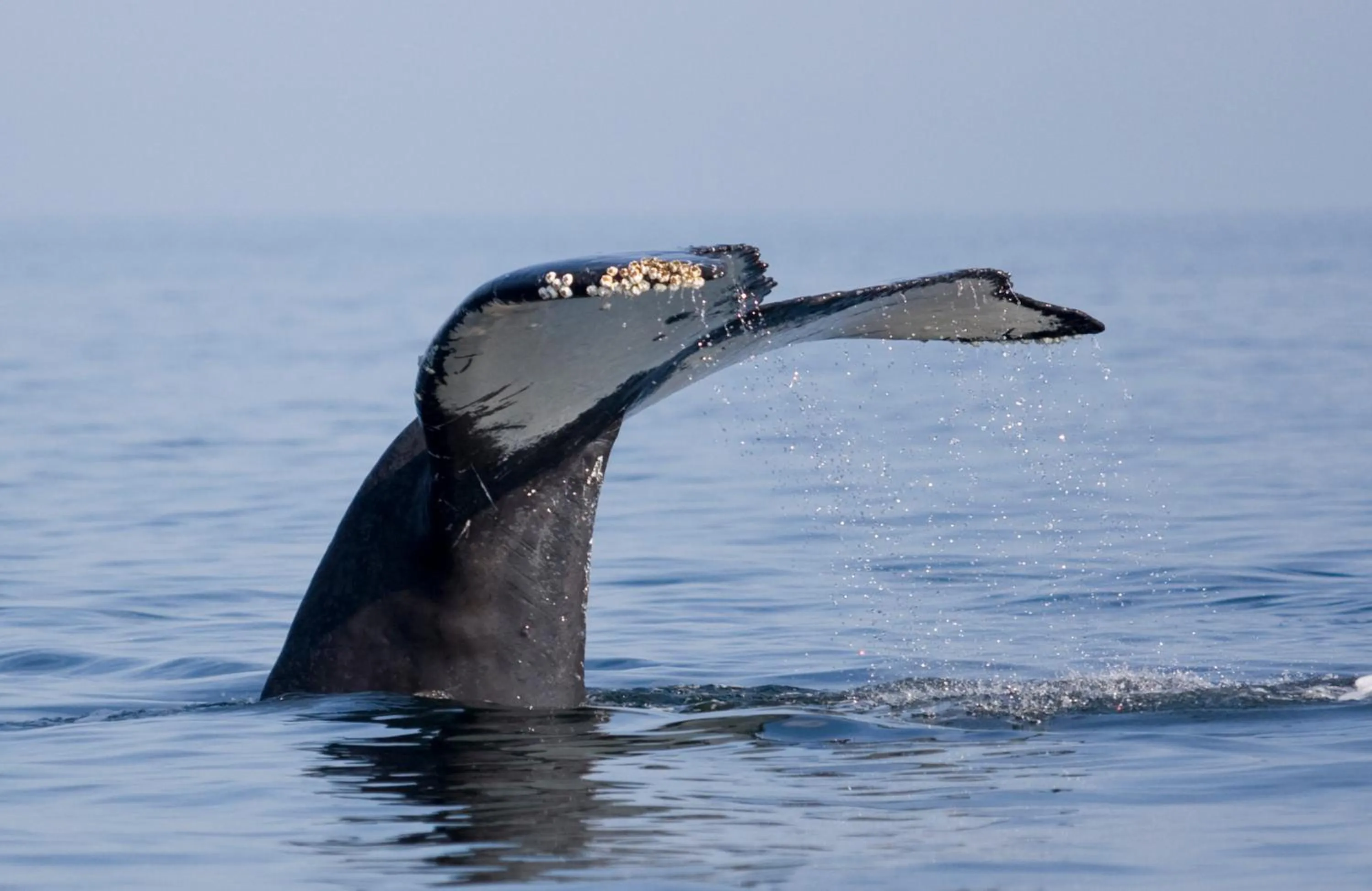 Off site in M&M's Maple Bay Mountain Guesthouse