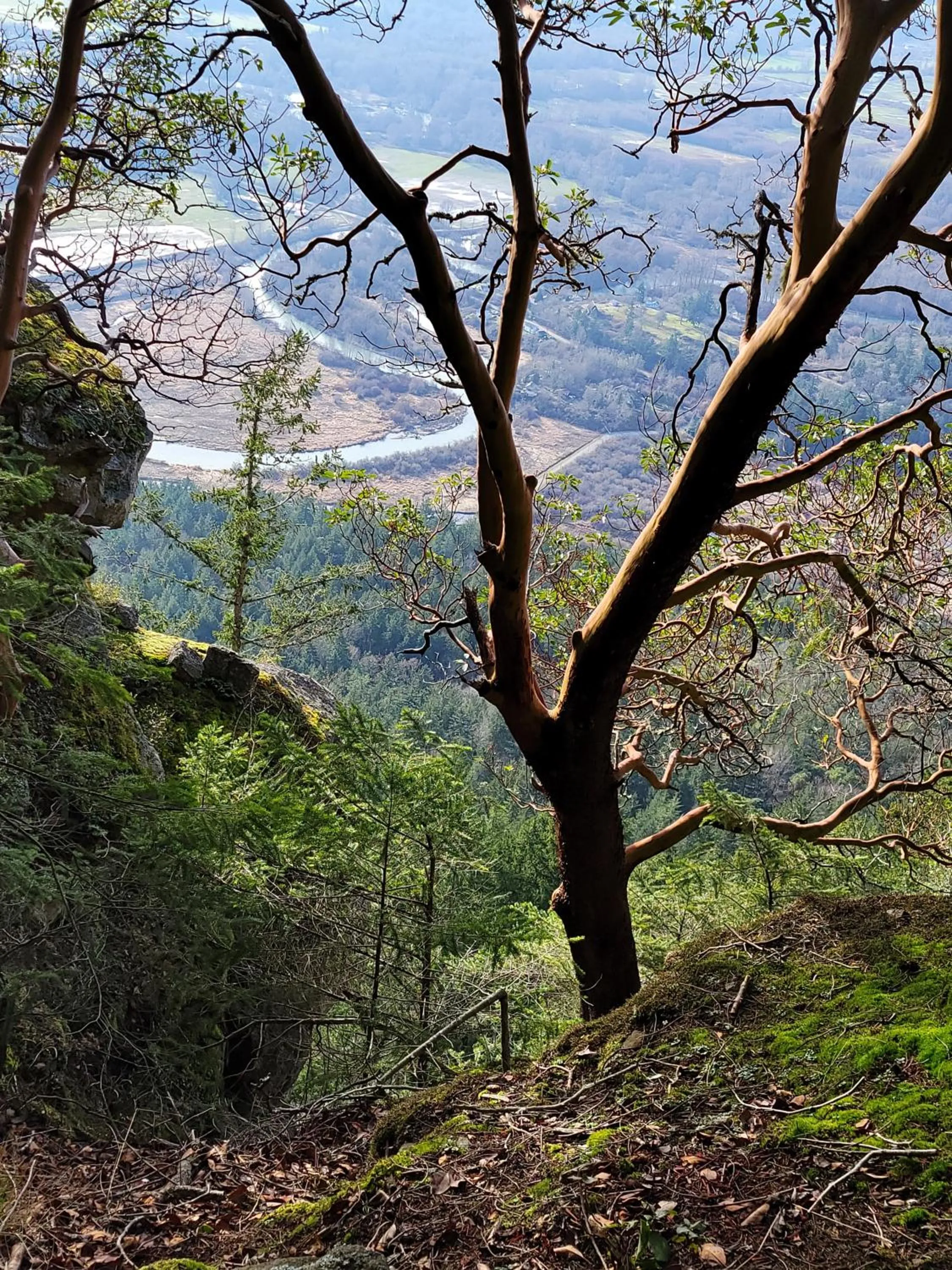 Off site in M&M's Maple Bay Mountain Guesthouse