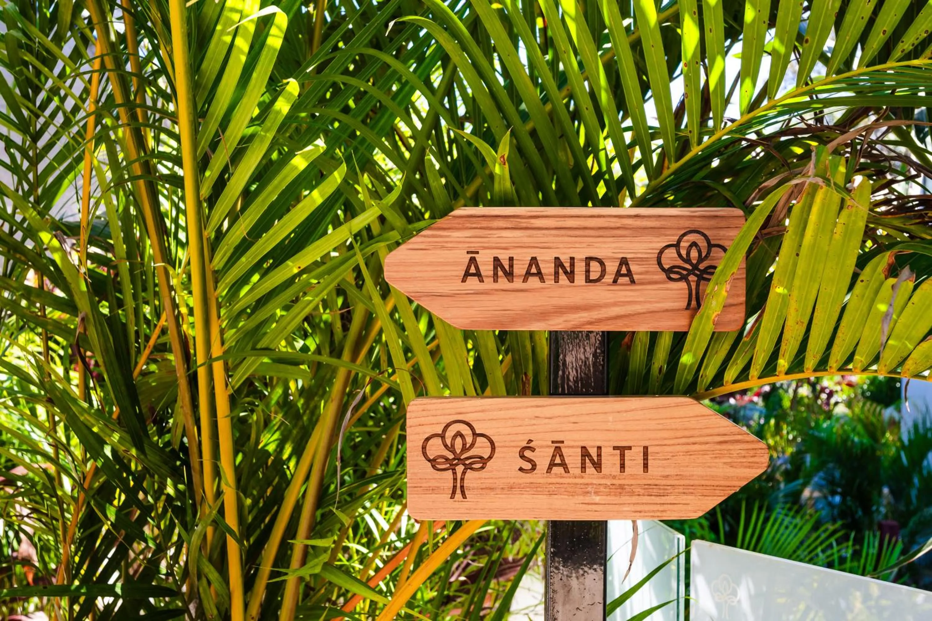 Property logo or sign in mVillas Luxury Villas with Beach Club Access & Sauna