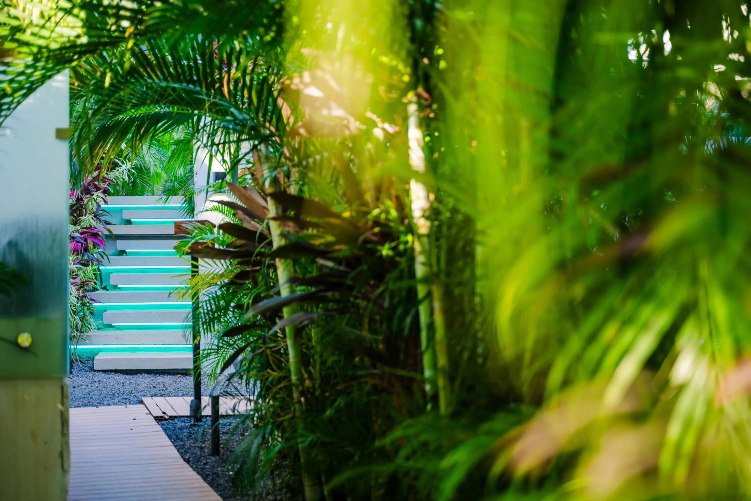 Natural landscape in mVillas Luxury Villas with Beach Club Access & Sauna