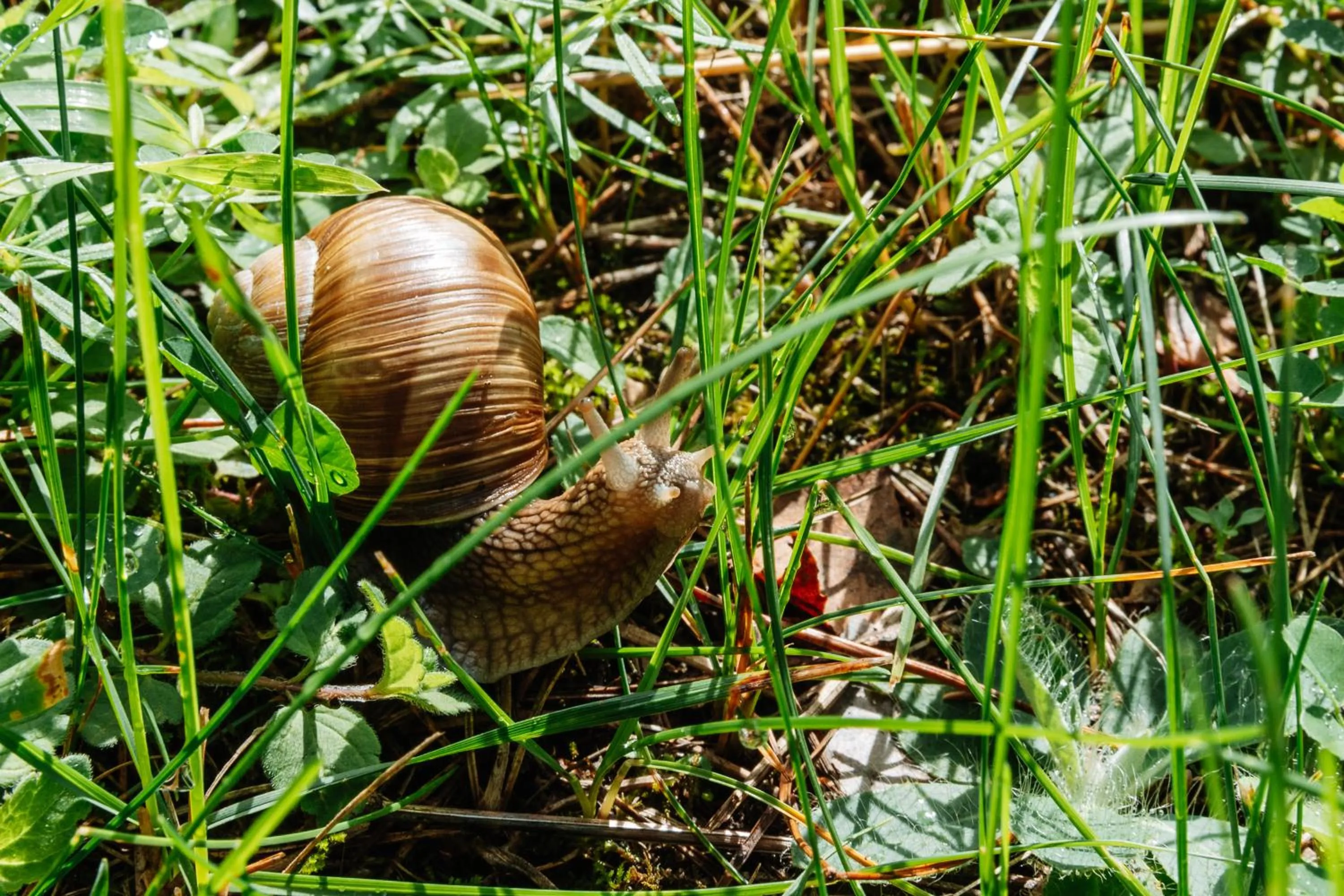 Natural landscape in ZUŠU KLĒTS