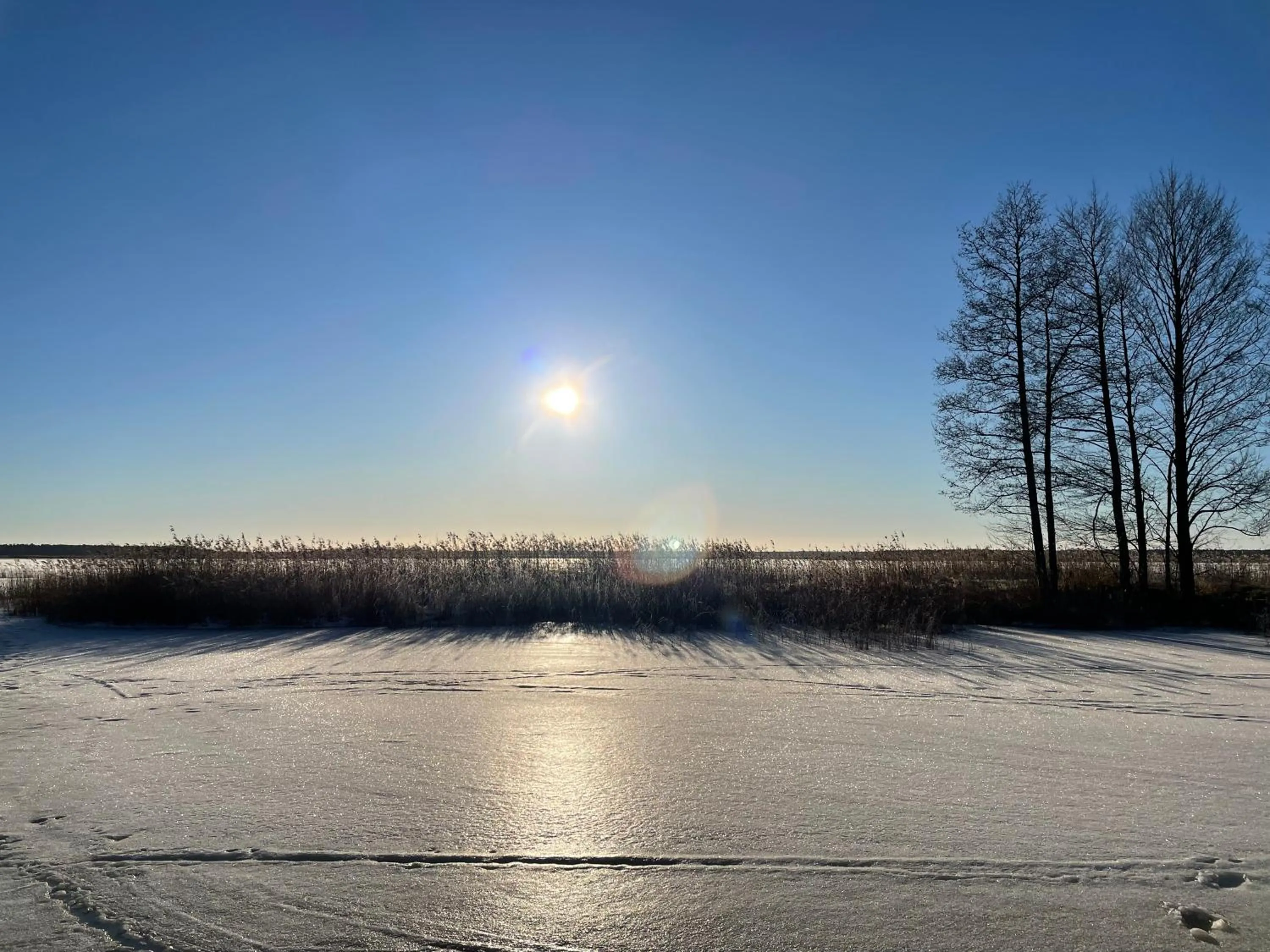 Natural landscape in ZUŠU KLĒTS