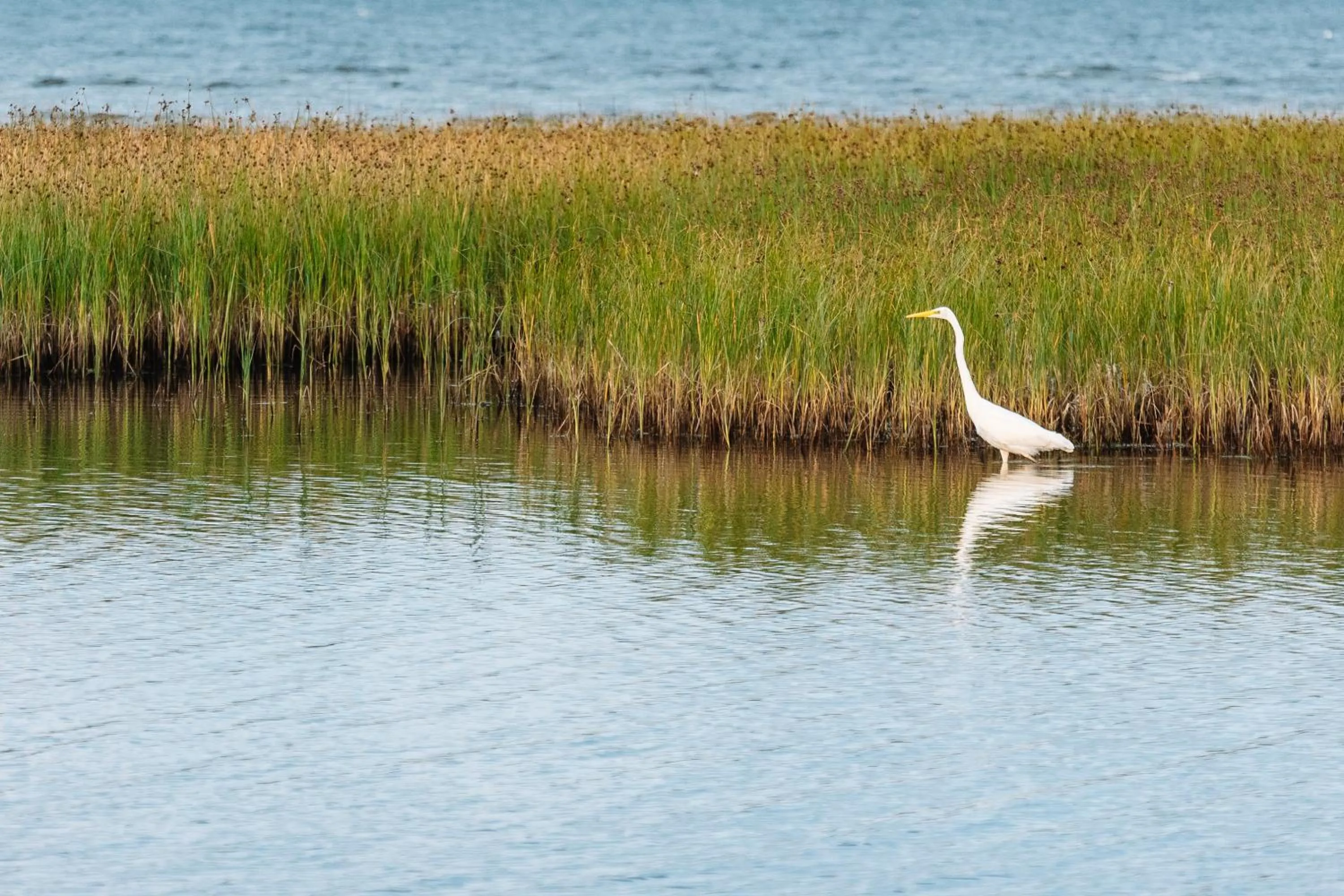 Natural landscape in ZUŠU KLĒTS