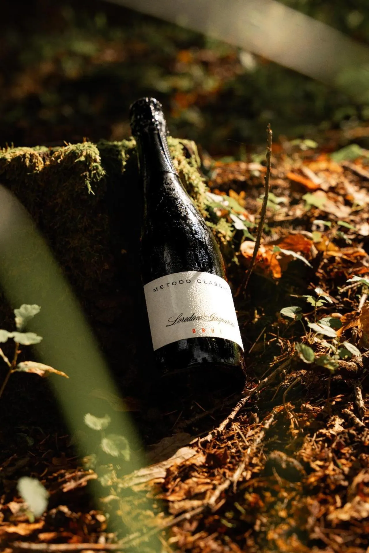 Locanda Al Cacciatore