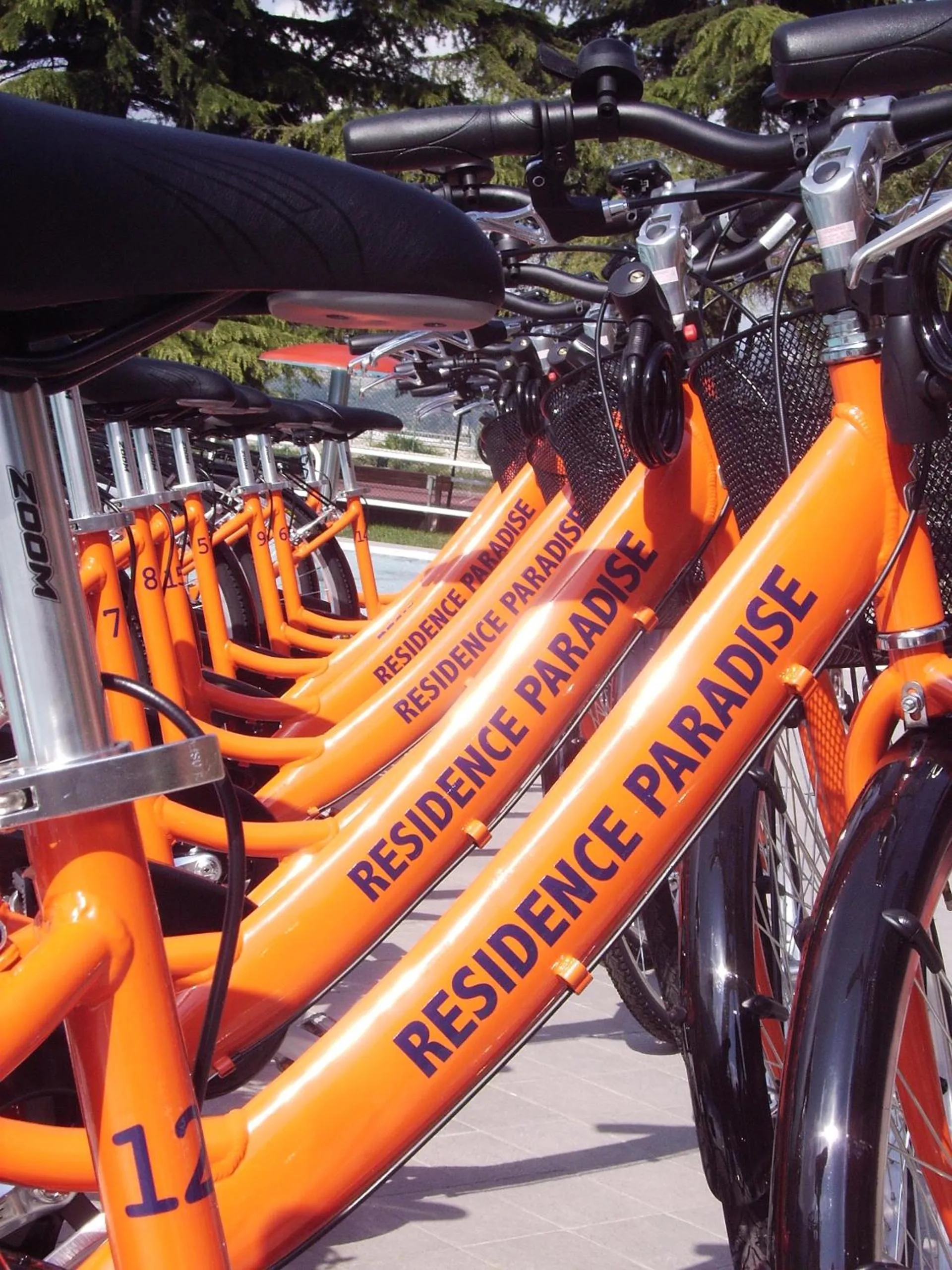 Activities in Residence Paradise