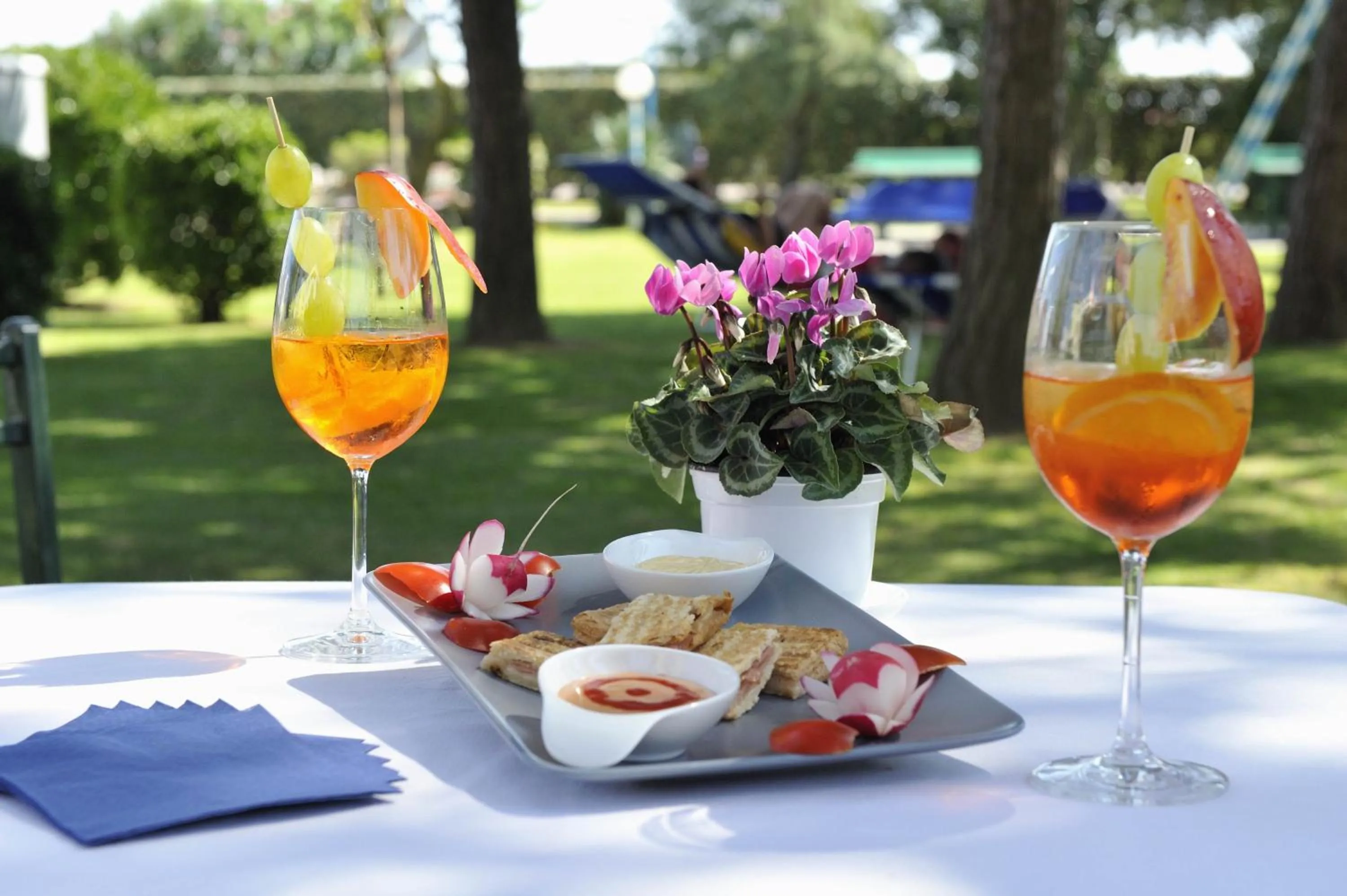 Food and drinks in Hotel Palace