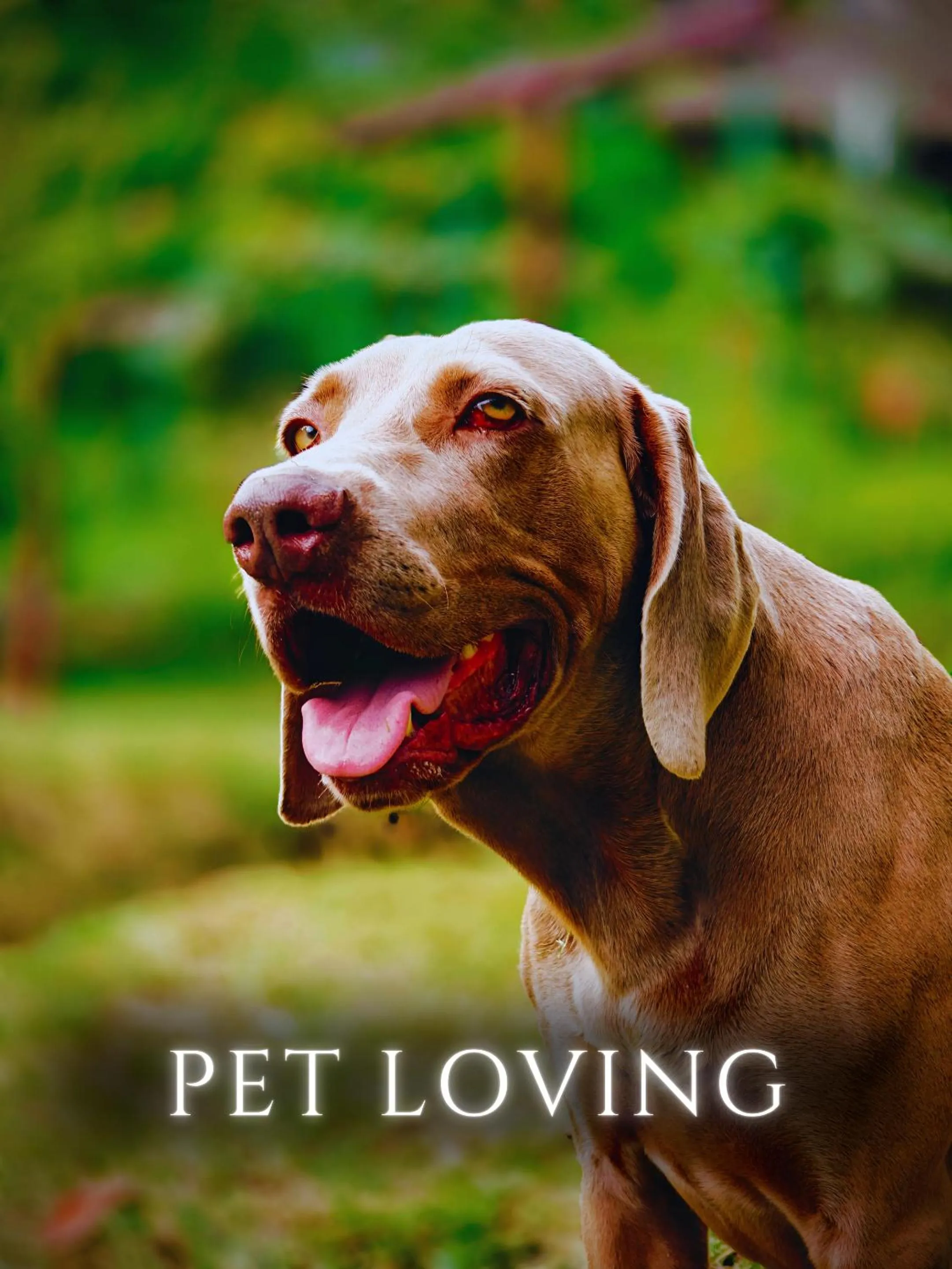 Activities in The River House - Upscale Lodge