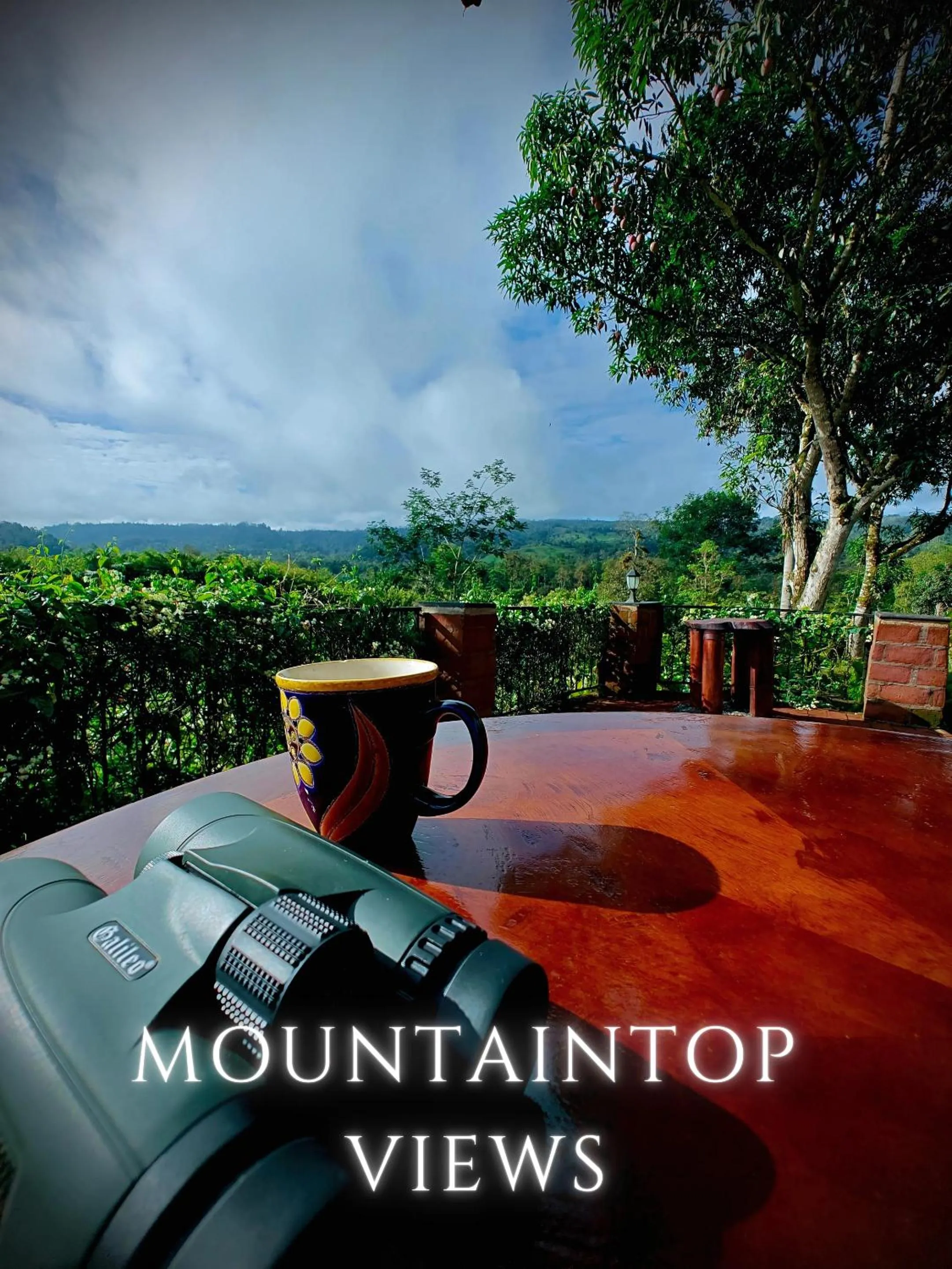 Day in The River House - Upscale Lodge