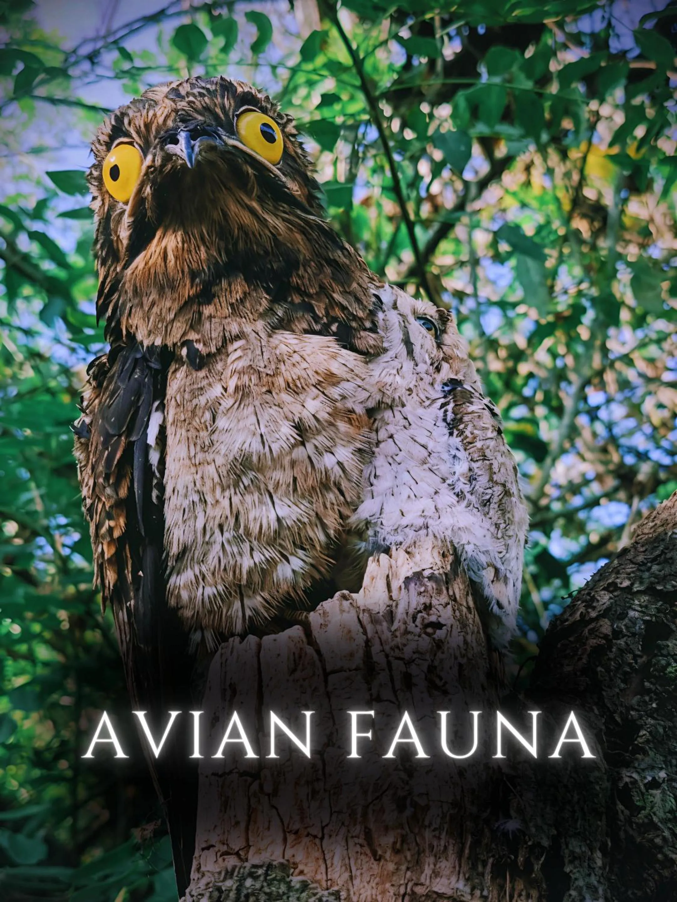 Natural landscape in The River House - Upscale Lodge