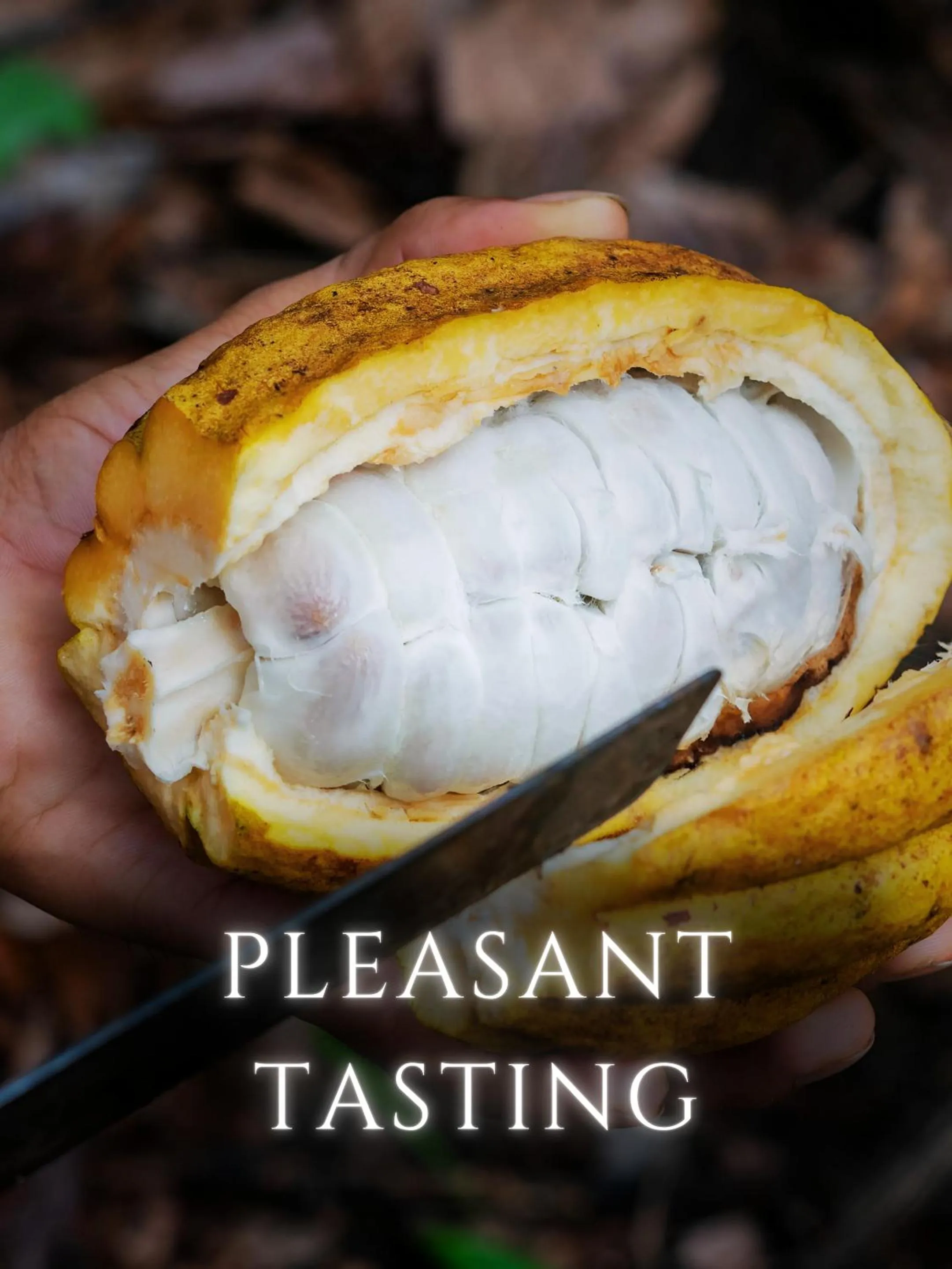 Other in The River House - Upscale Lodge