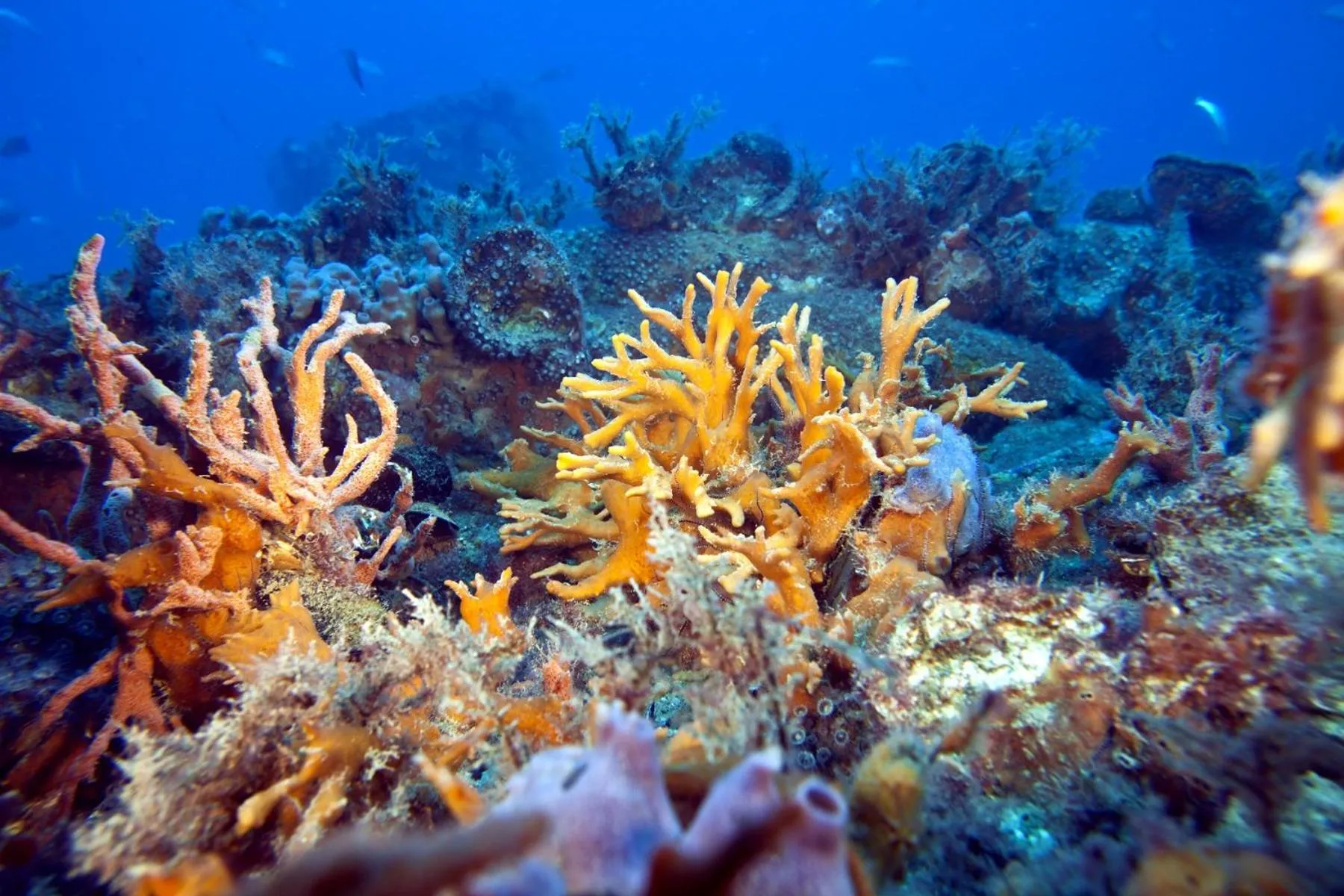 Nearby landmark in Hotel Le Tegnue