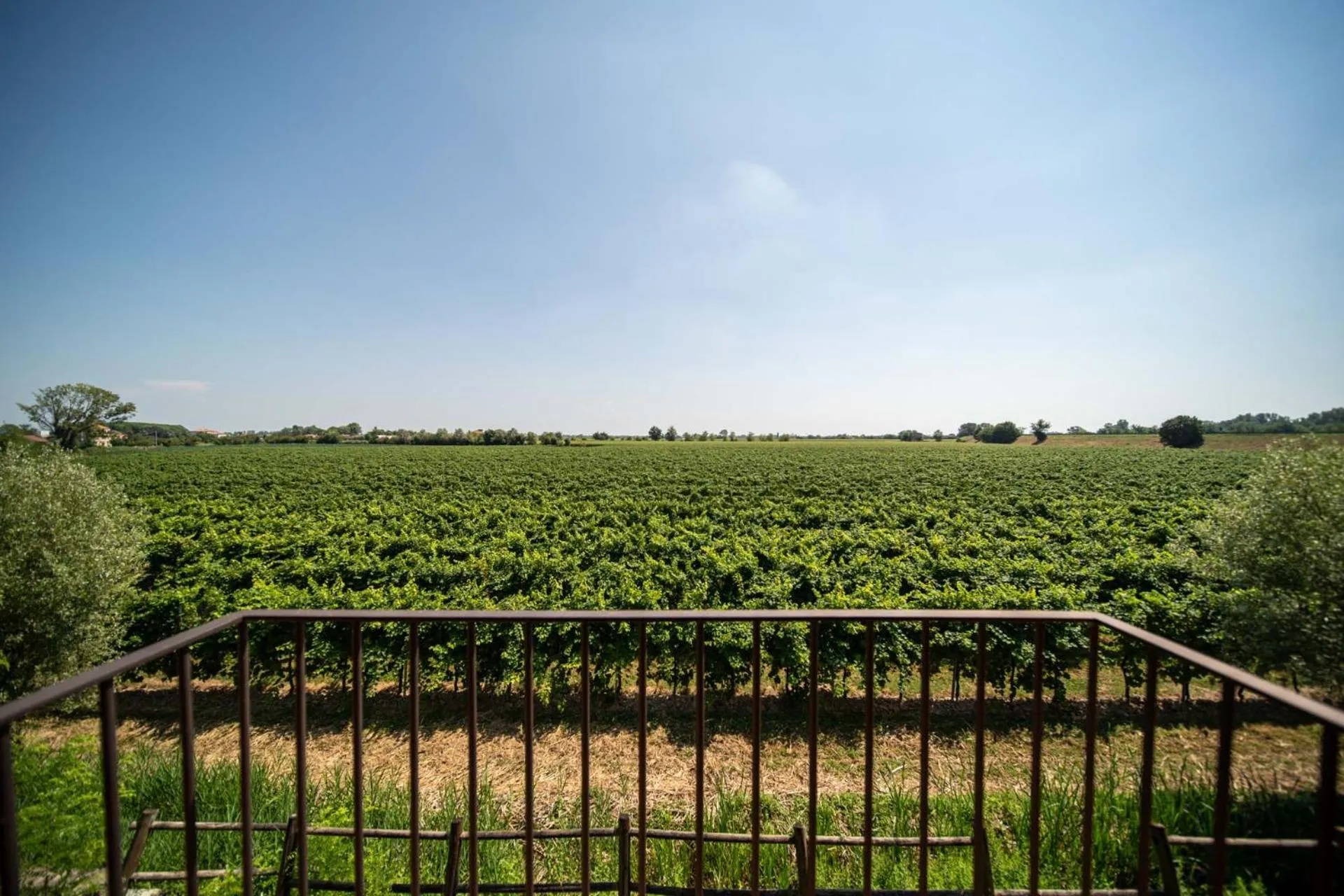Balcony/Terrace in Borgo Ronchetto