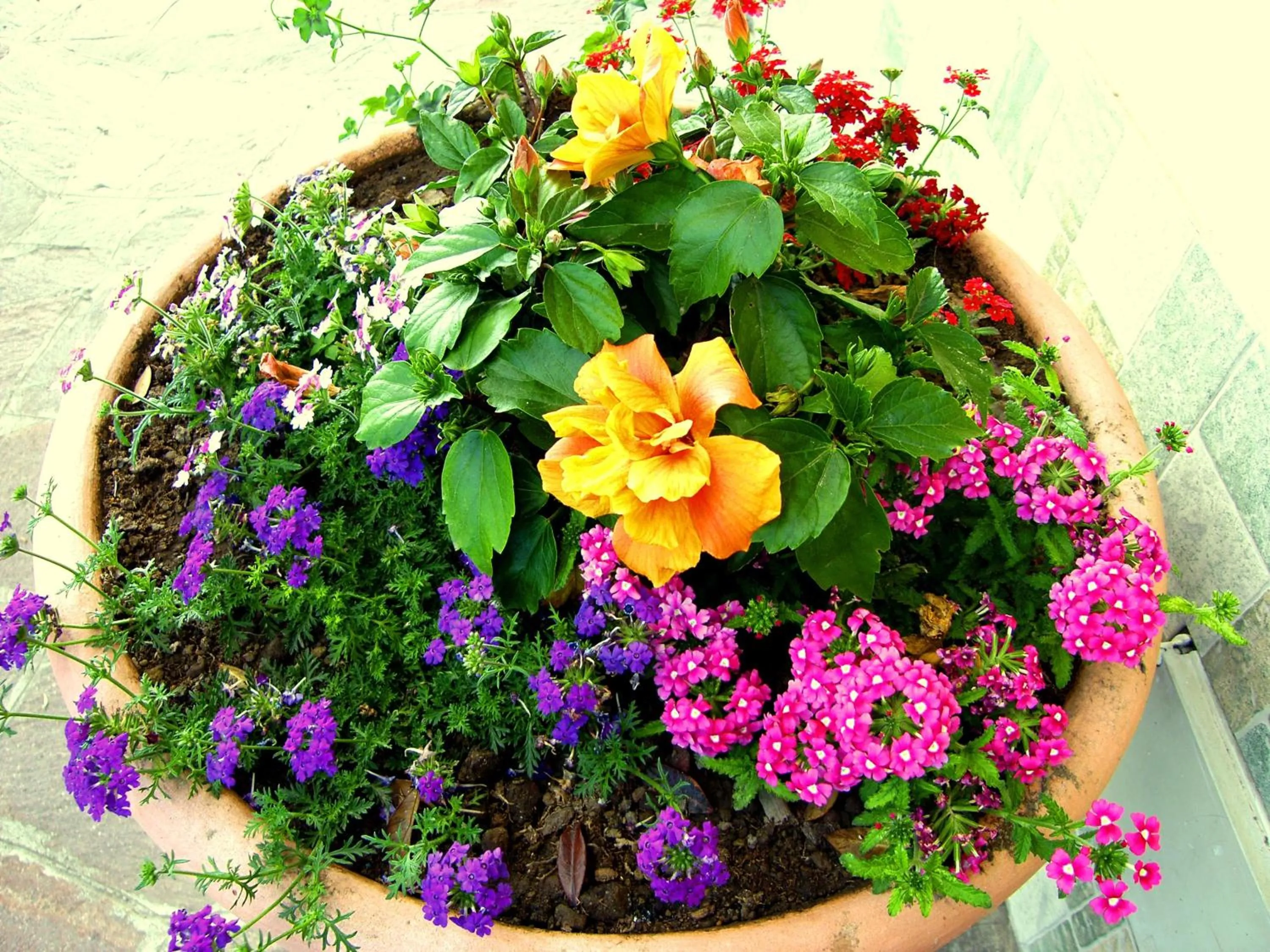 Facade/entrance in Locanda Degli Agrumi