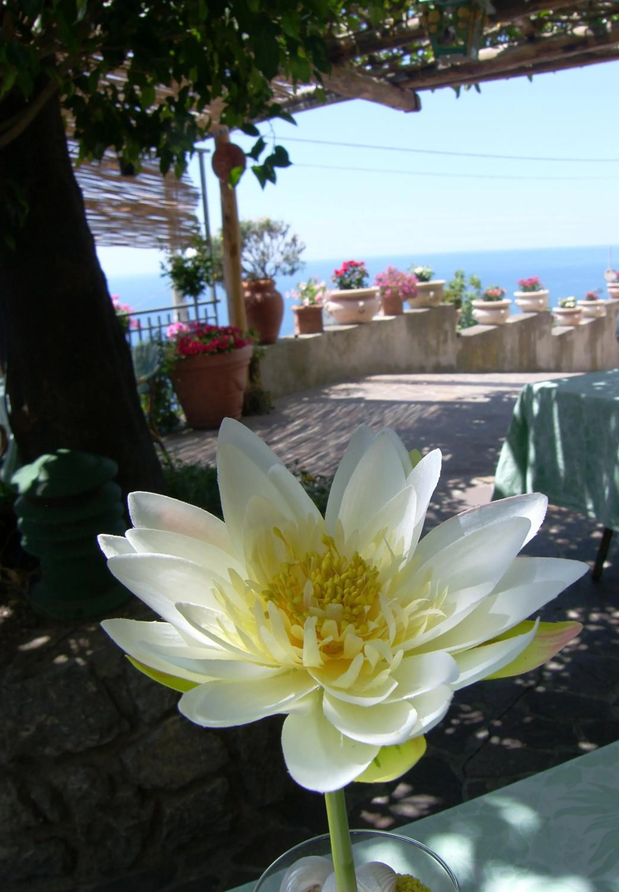 Garden in Locanda Degli Agrumi