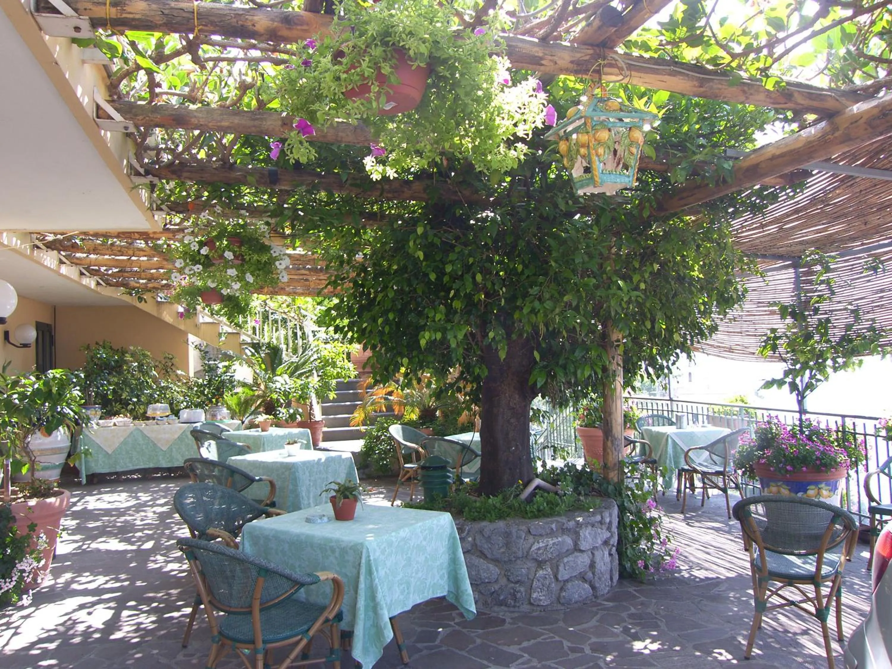 Garden in Locanda Degli Agrumi