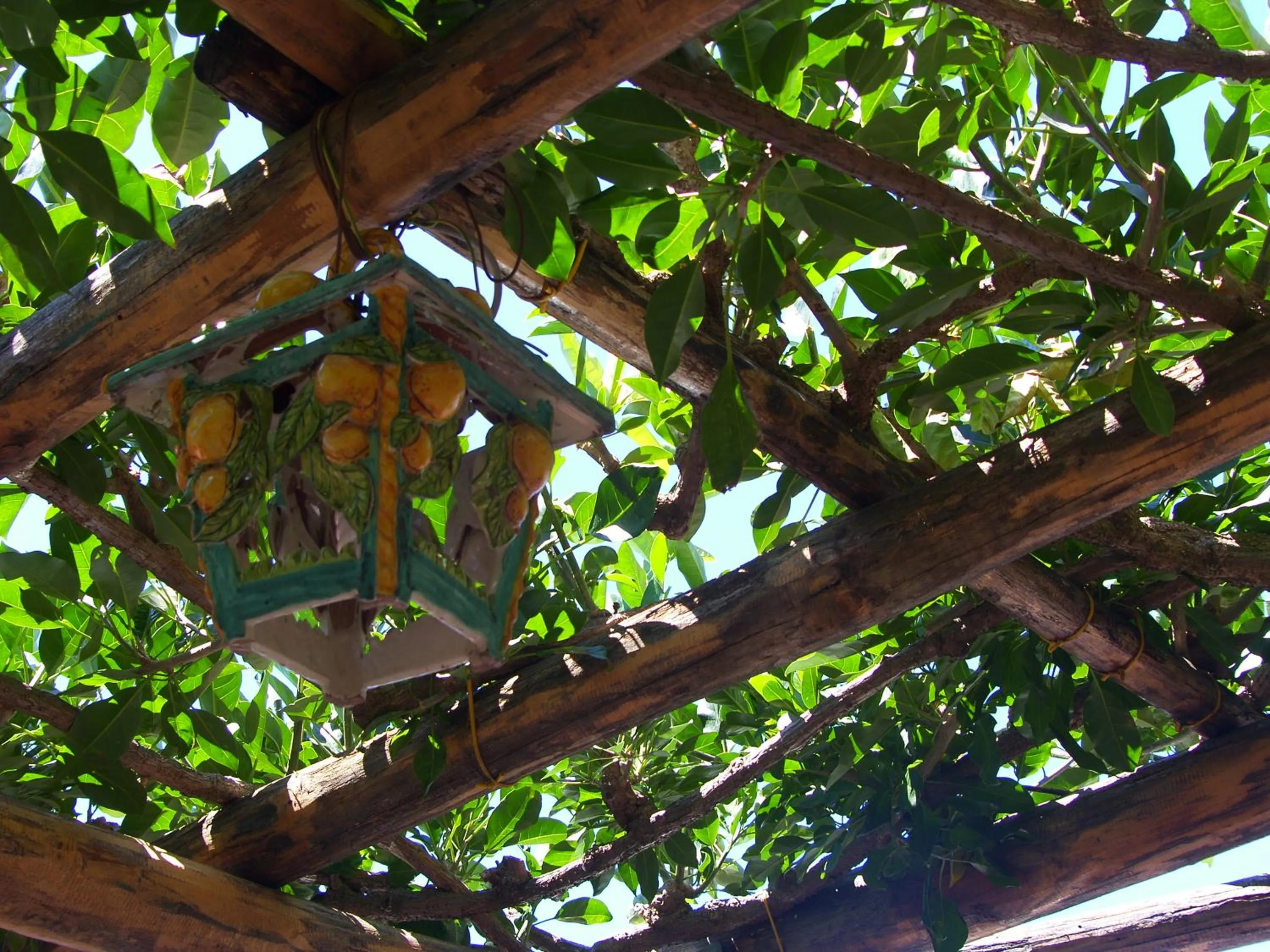 Garden in Locanda Degli Agrumi