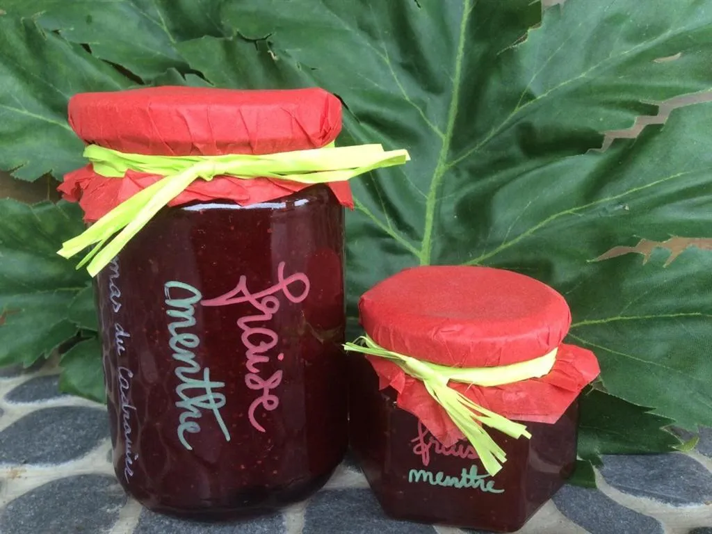 View (from property/room) in Mas Du Cadranier