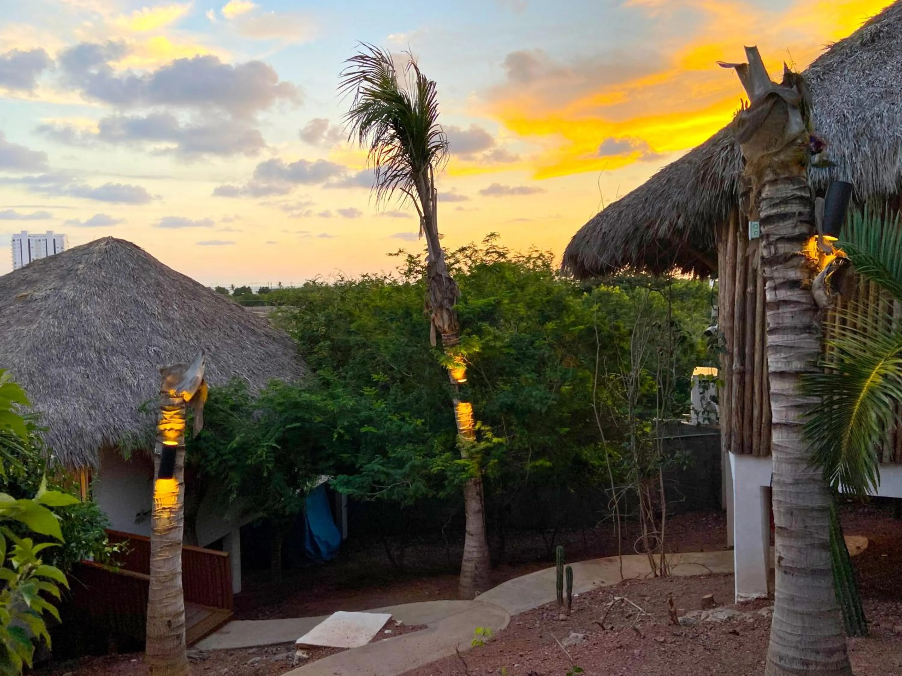 Day in Palm Valley Cabins