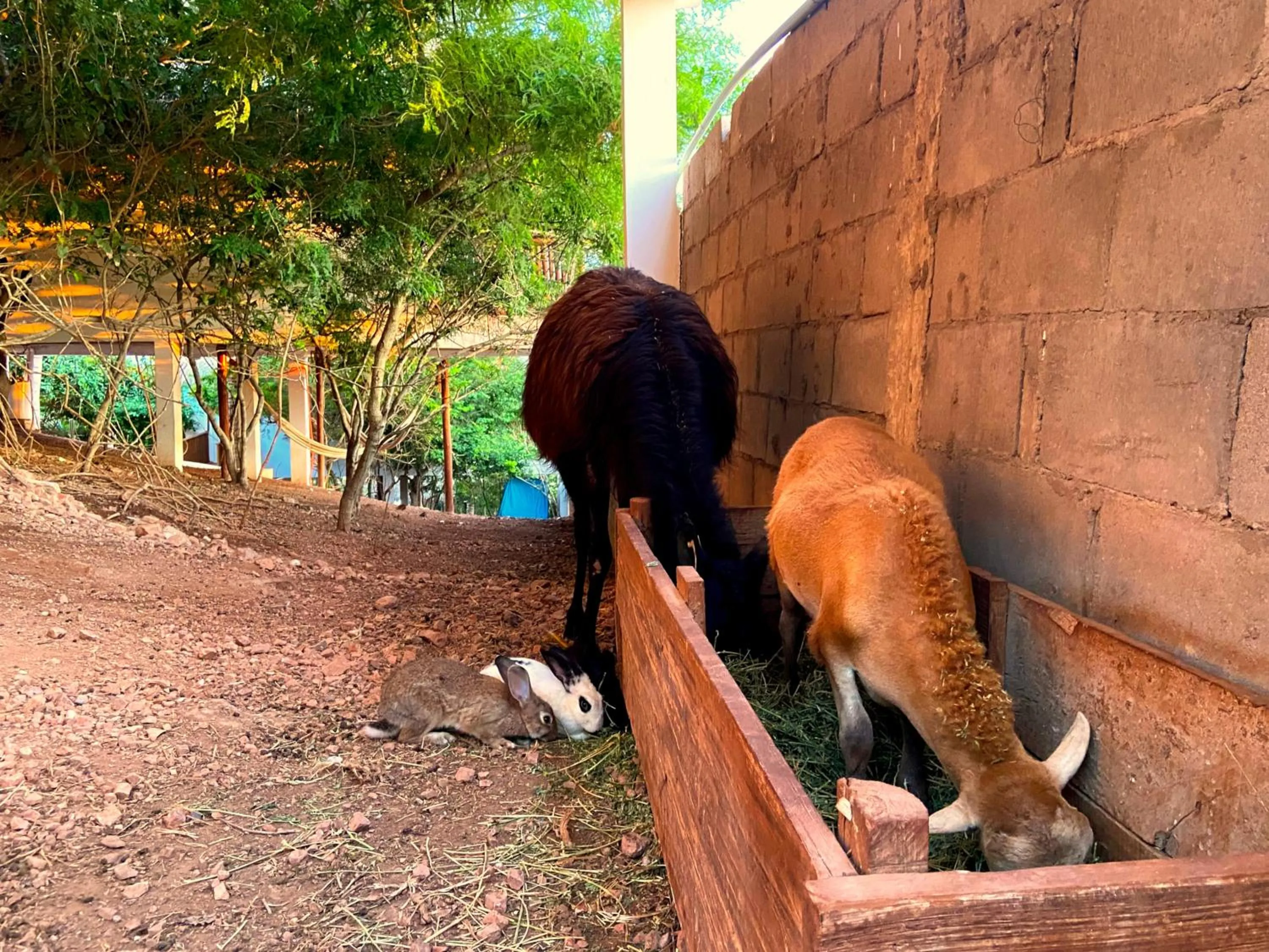 Day in Palm Valley Cabins