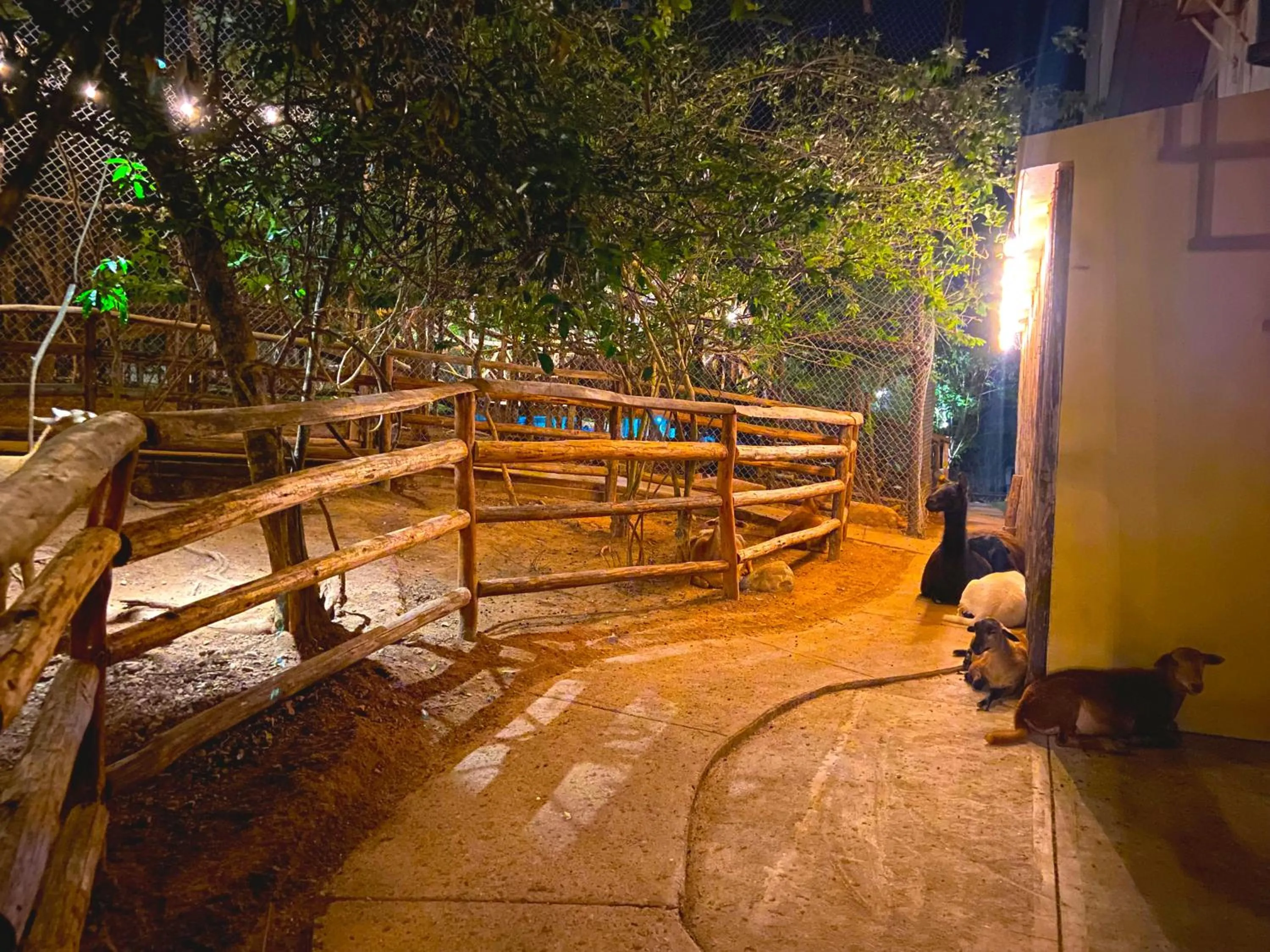 Night in Palm Valley Cabins