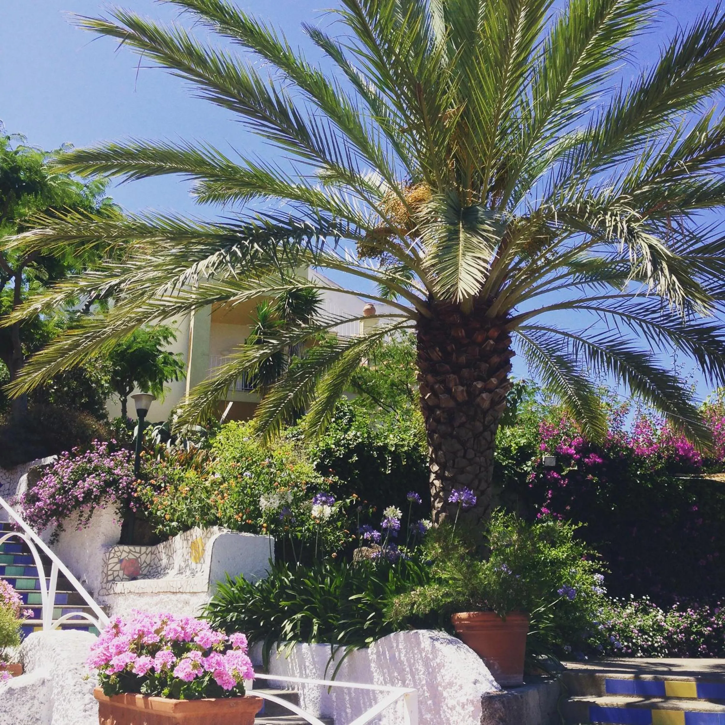 Spring in Paradiso Terme Resort & SPA con 5 piscine termali