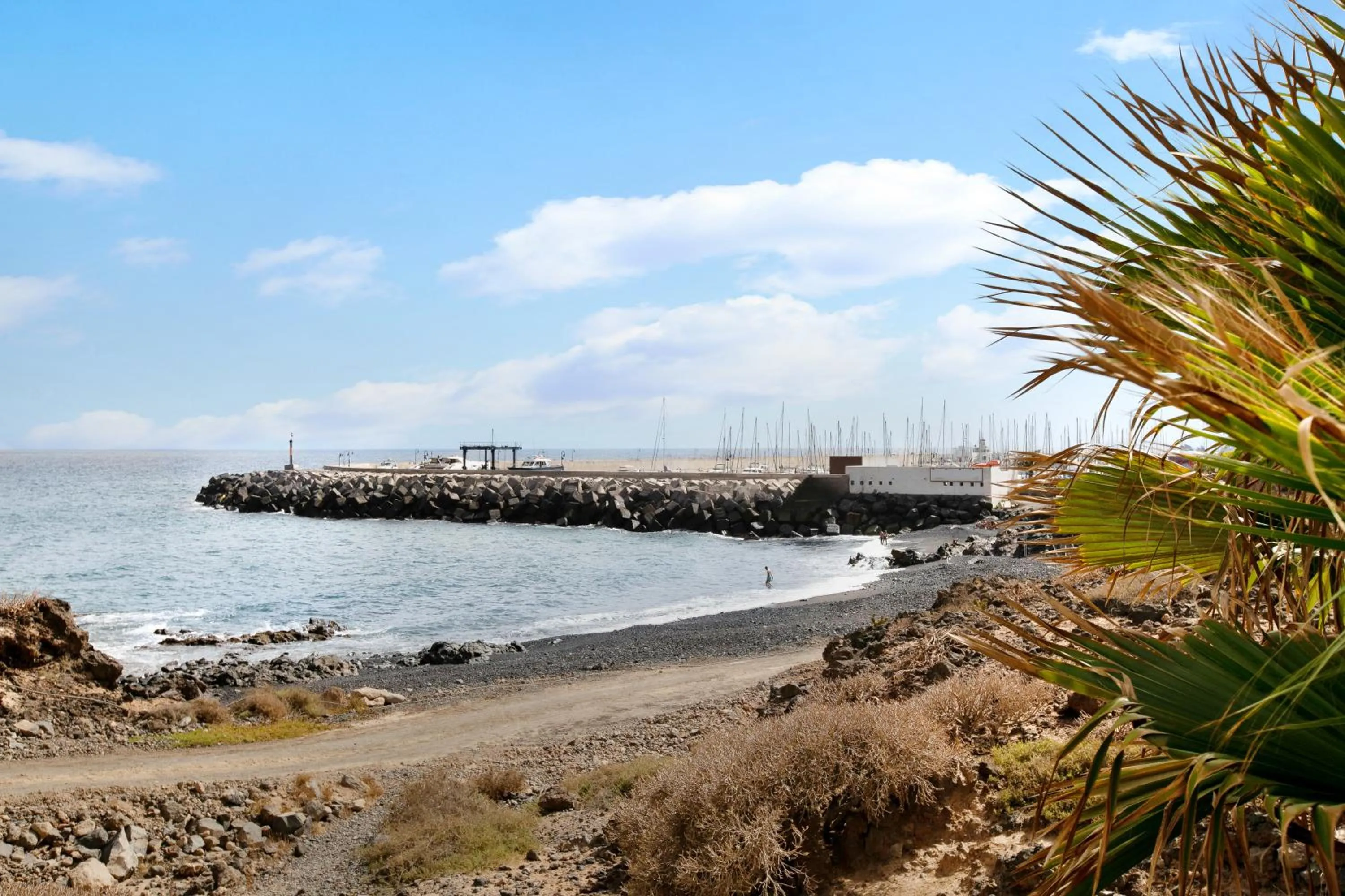 Property building in Apartamento Royal Park Albatros