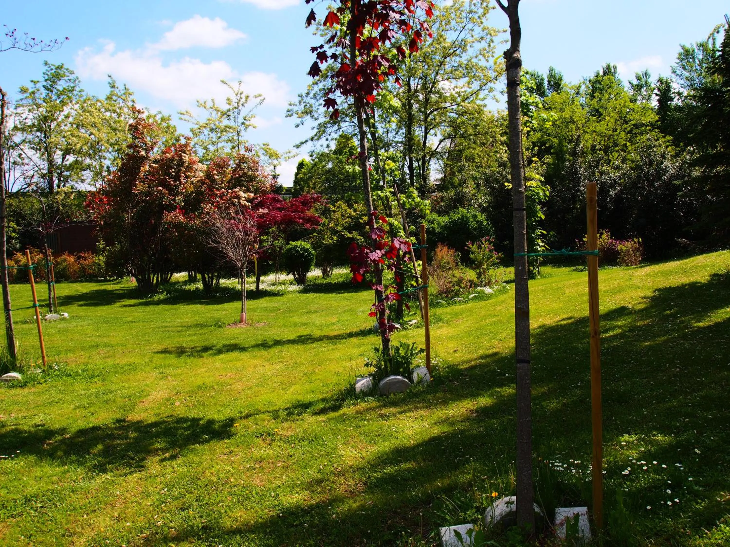 Garden in Hotel Villa Costanza