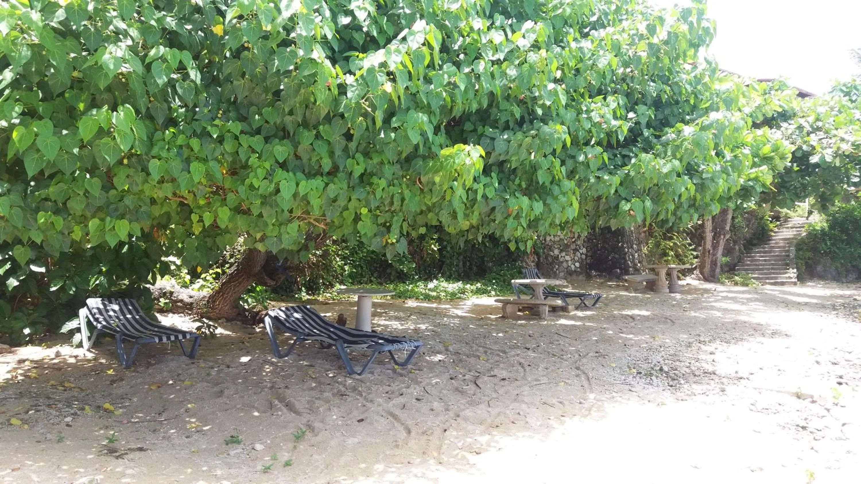 Beach in Silver Seas Hotel