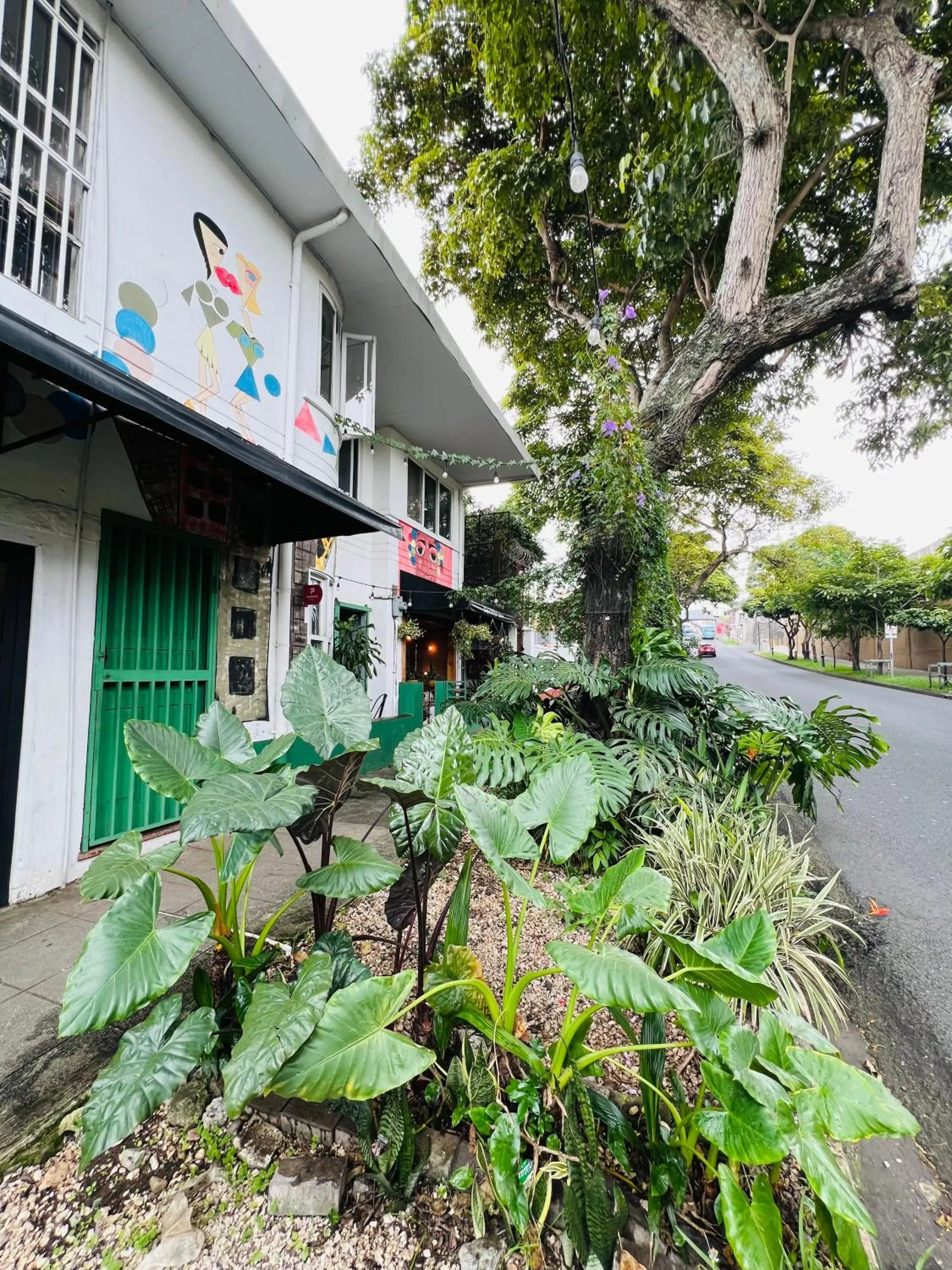 Garden in Otoya 1907 Hotel