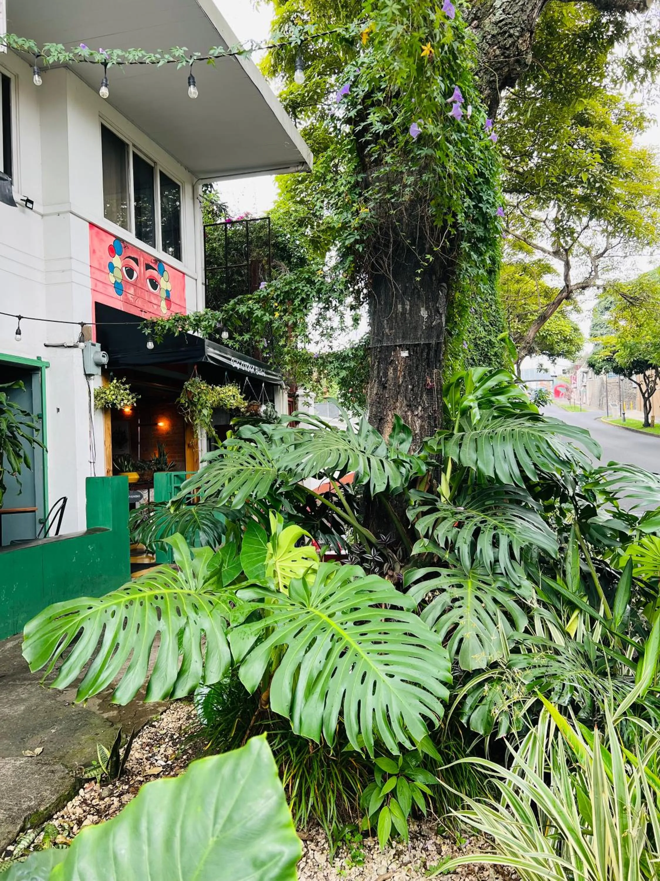 Garden in Otoya 1907 Hotel