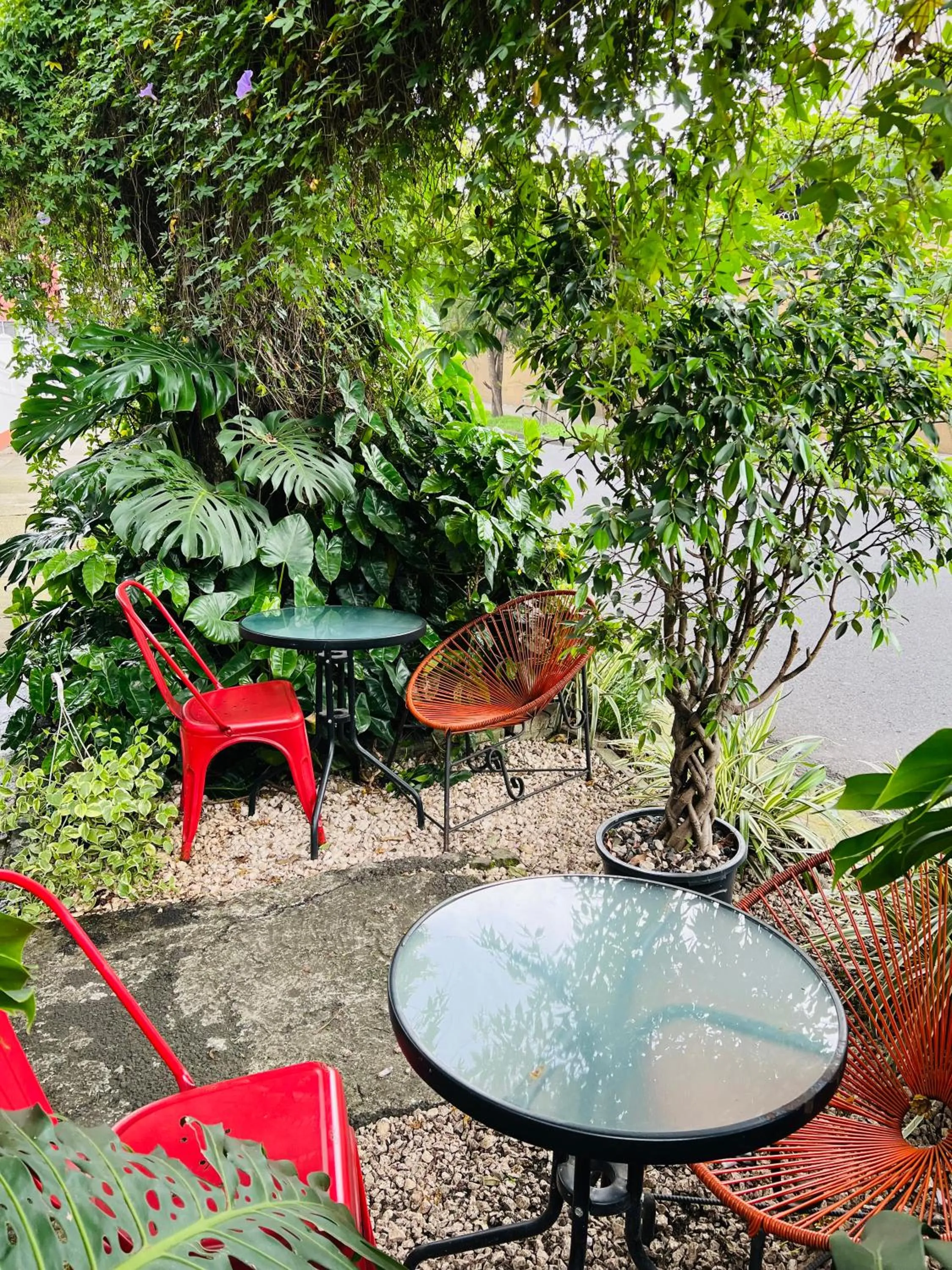 Garden in Otoya 1907 Hotel