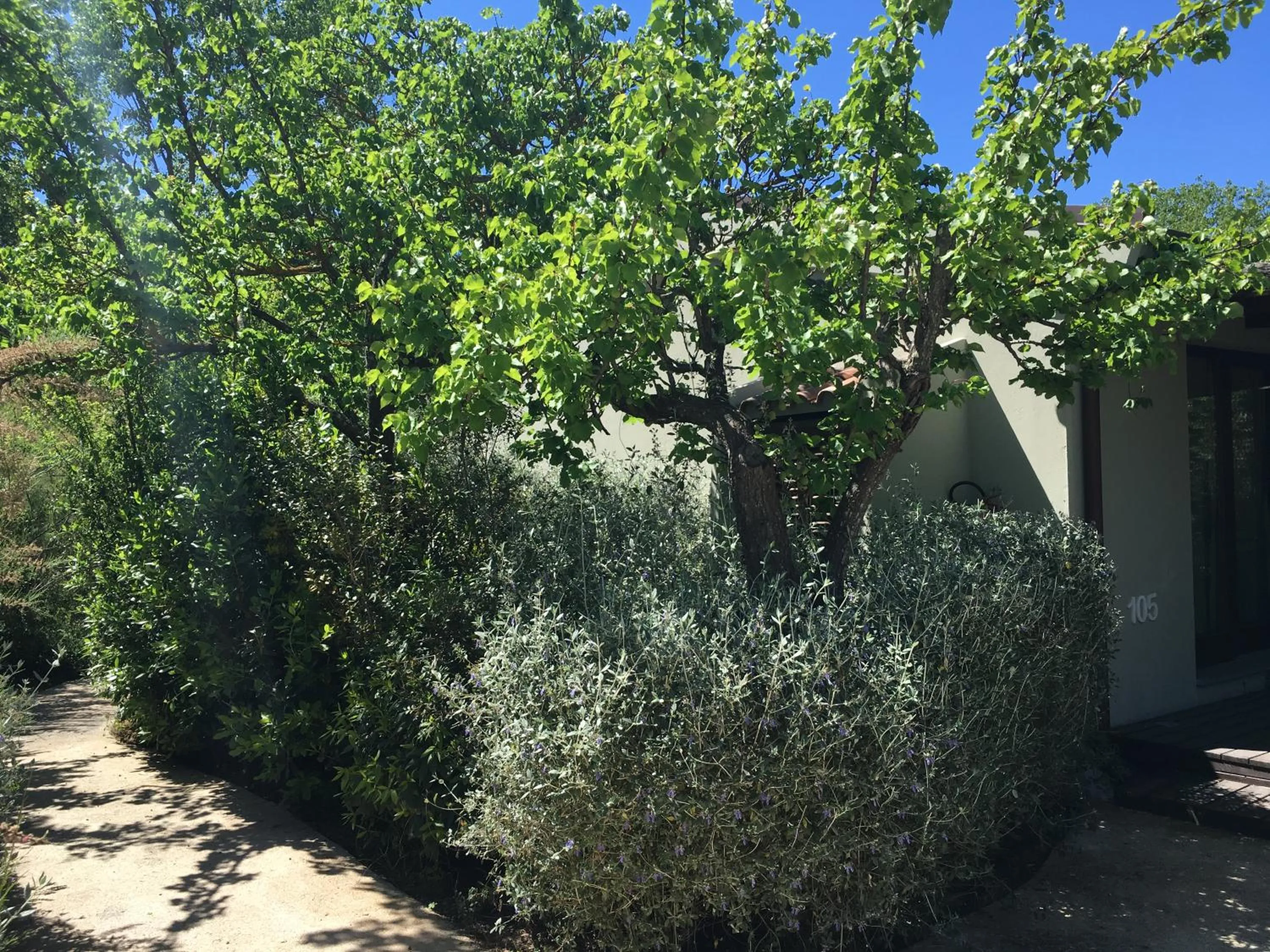 Other in Camping Village Rocchette