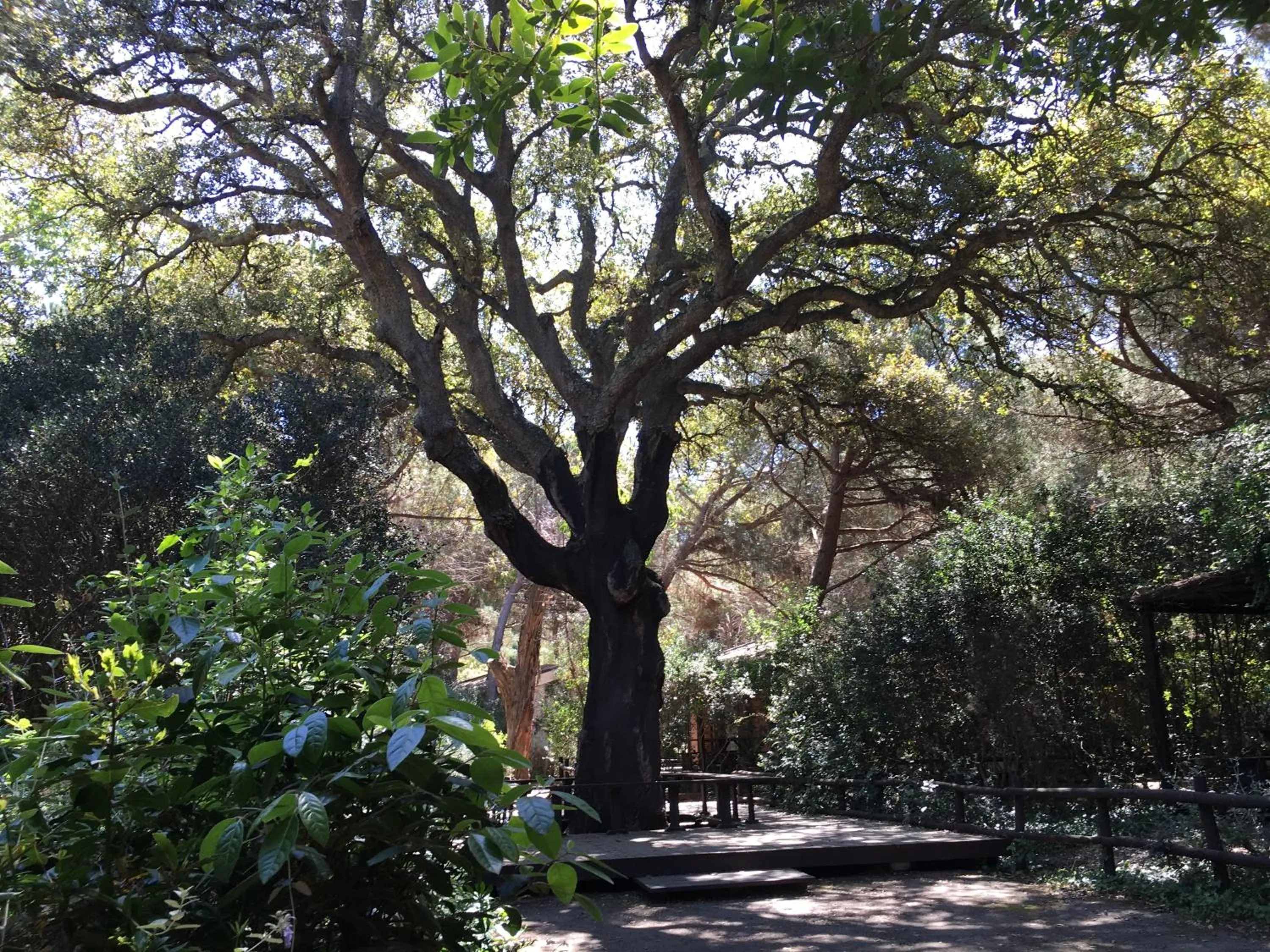 Day in Camping Village Rocchette