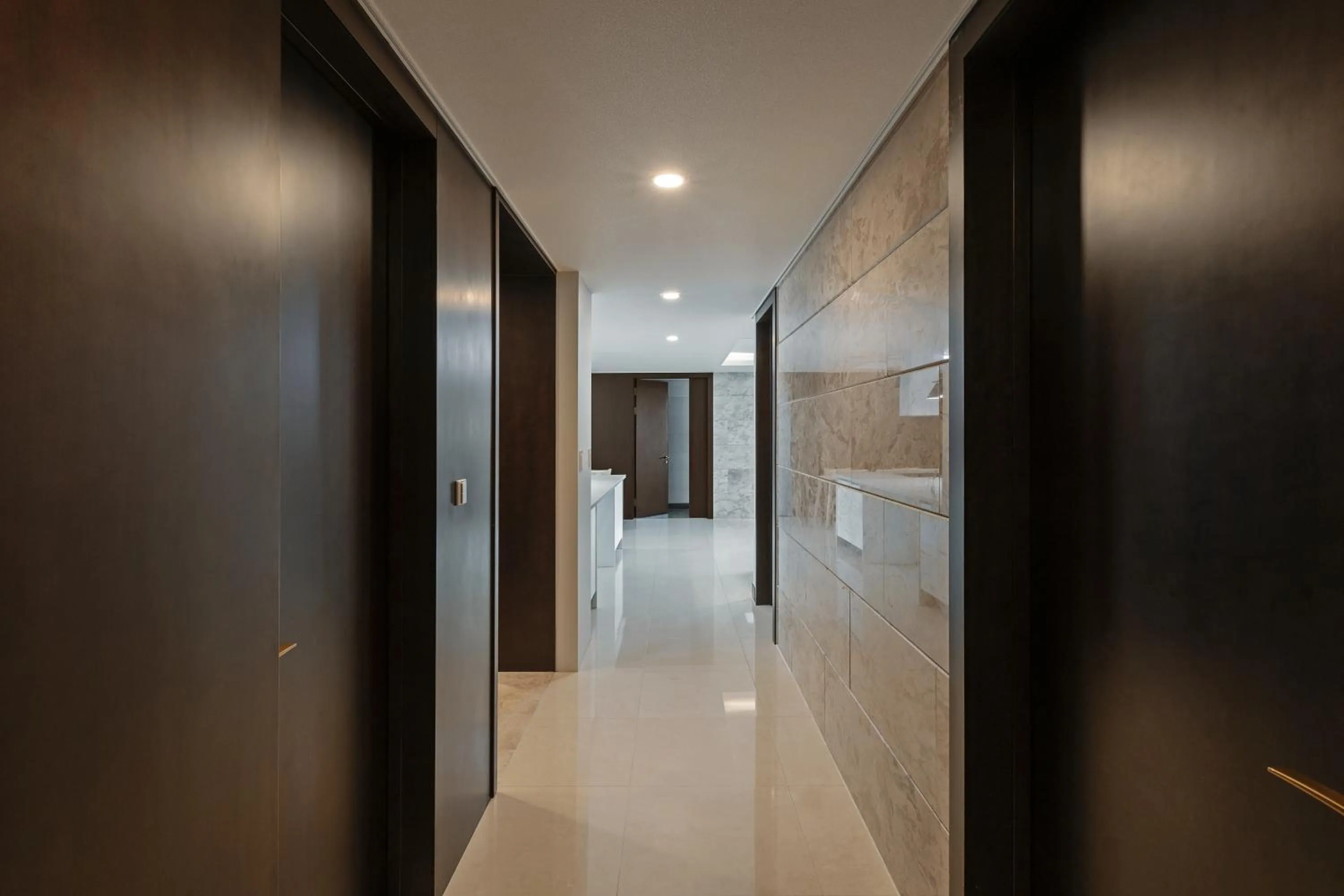 Area and facilities in Pale De Cz Condo