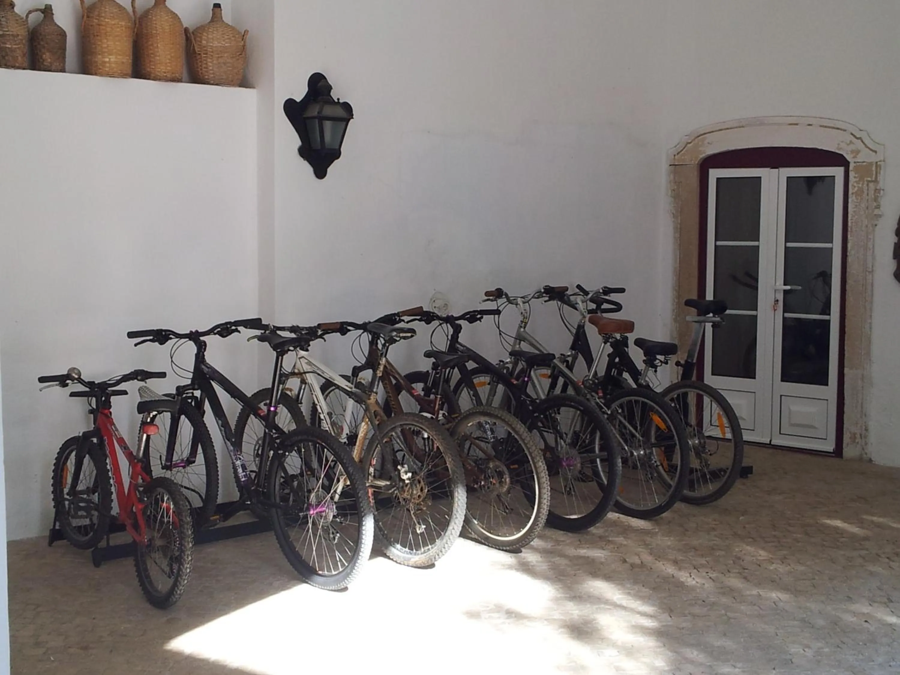 Cycling in Casa da Tia Guida