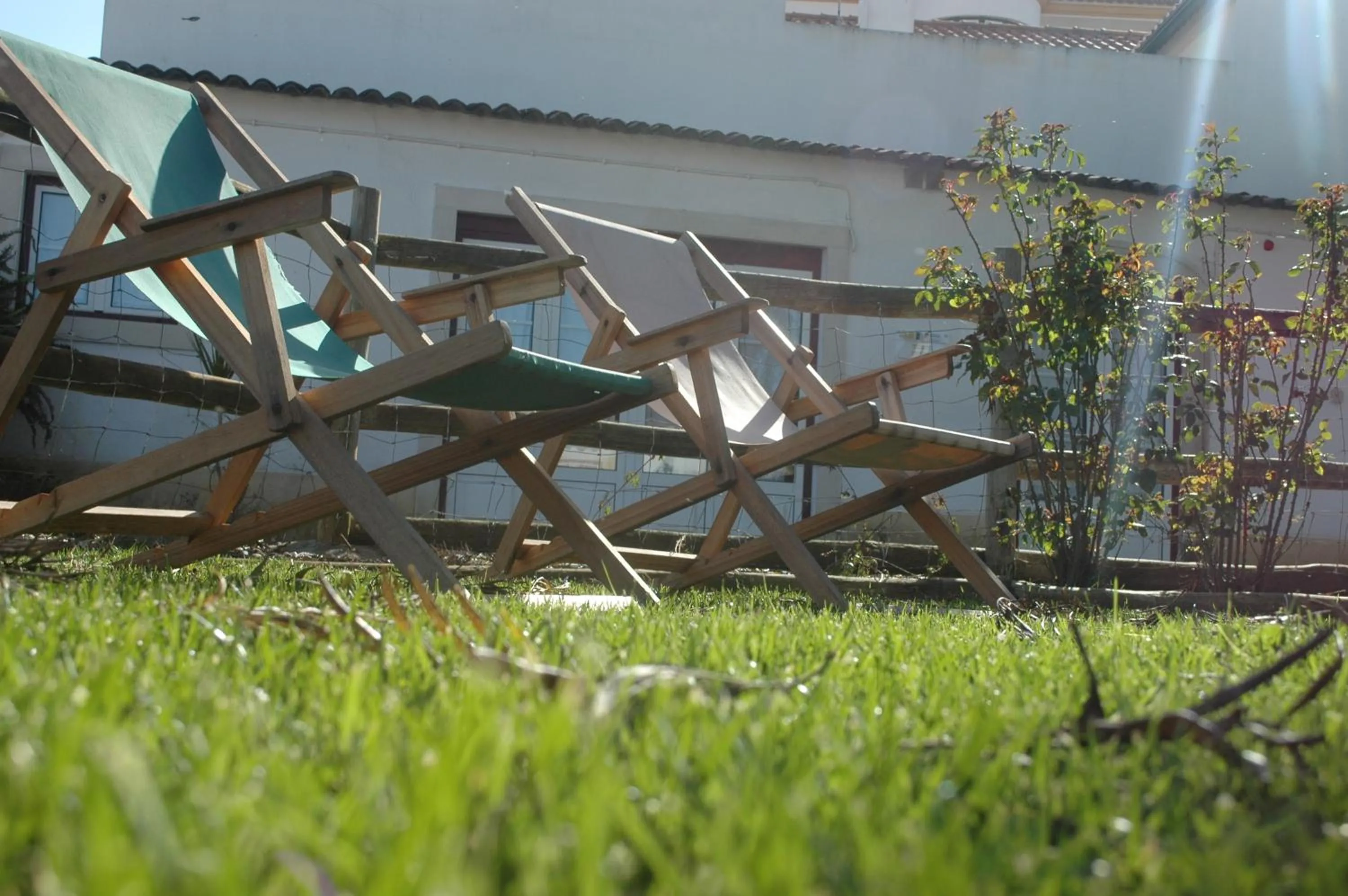 Garden in Casa da Tia Guida