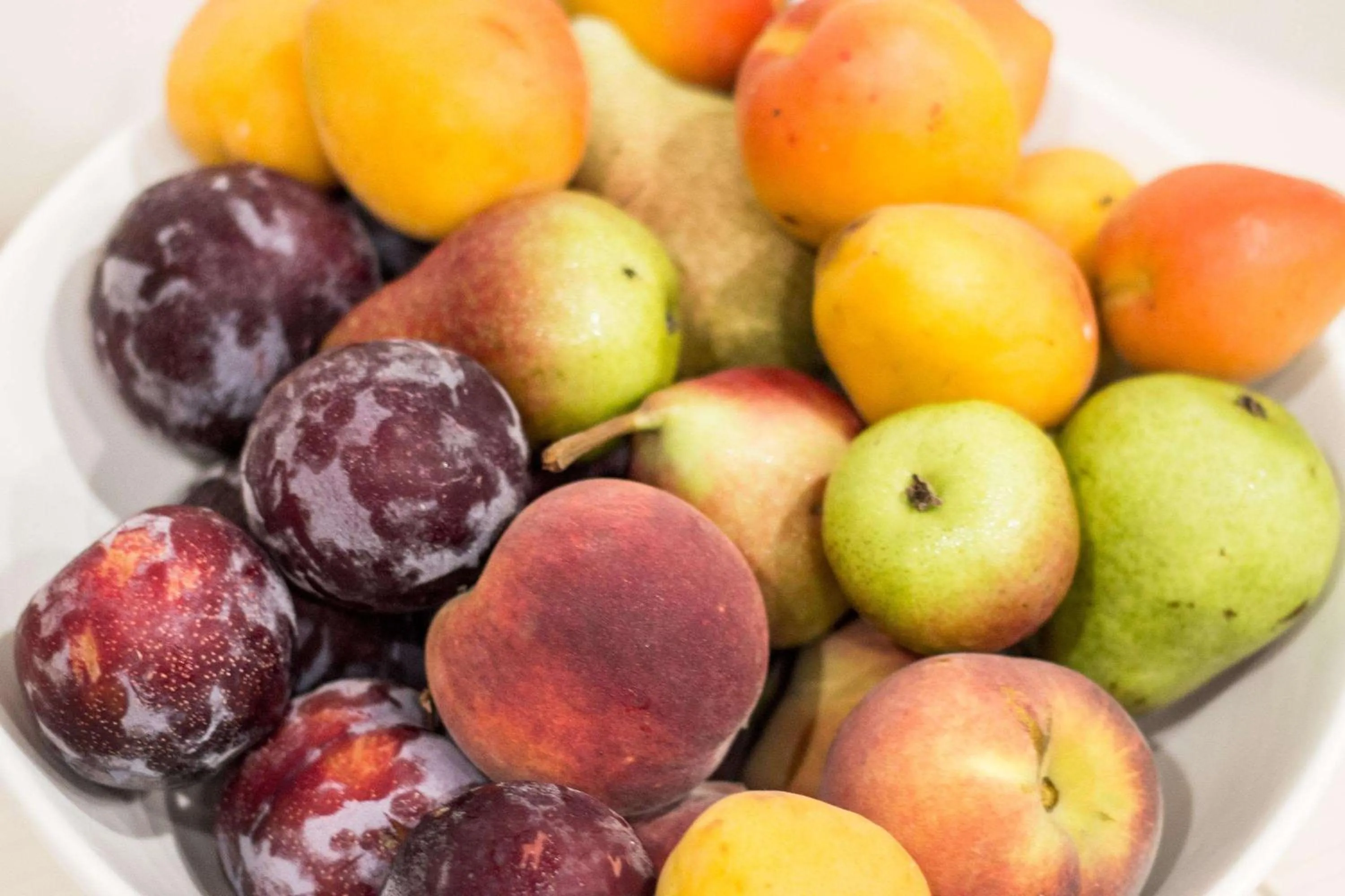 Restaurant/places to eat in Best Western Modena District