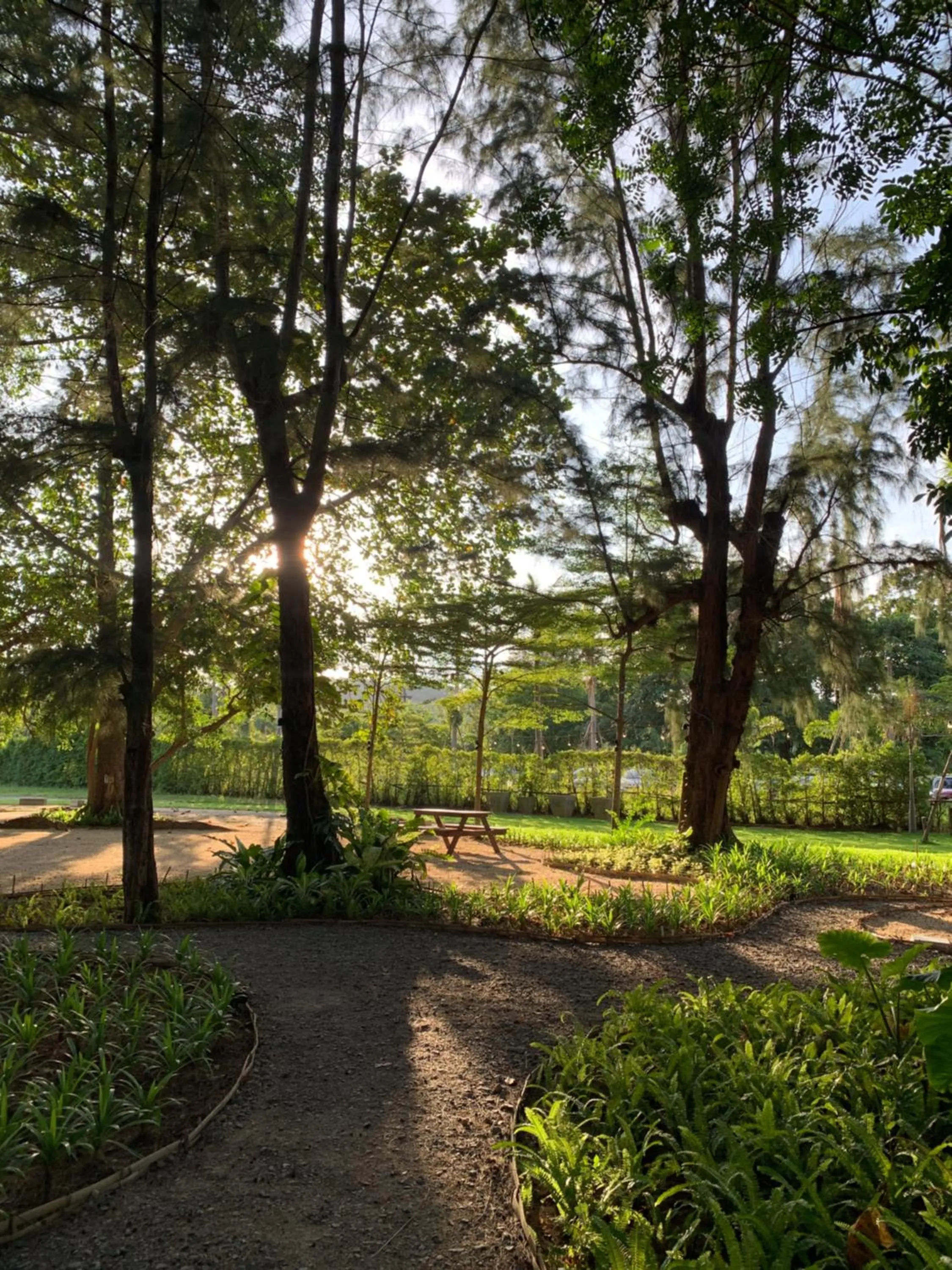 Garden view in Issara Beach Resort Beachfront