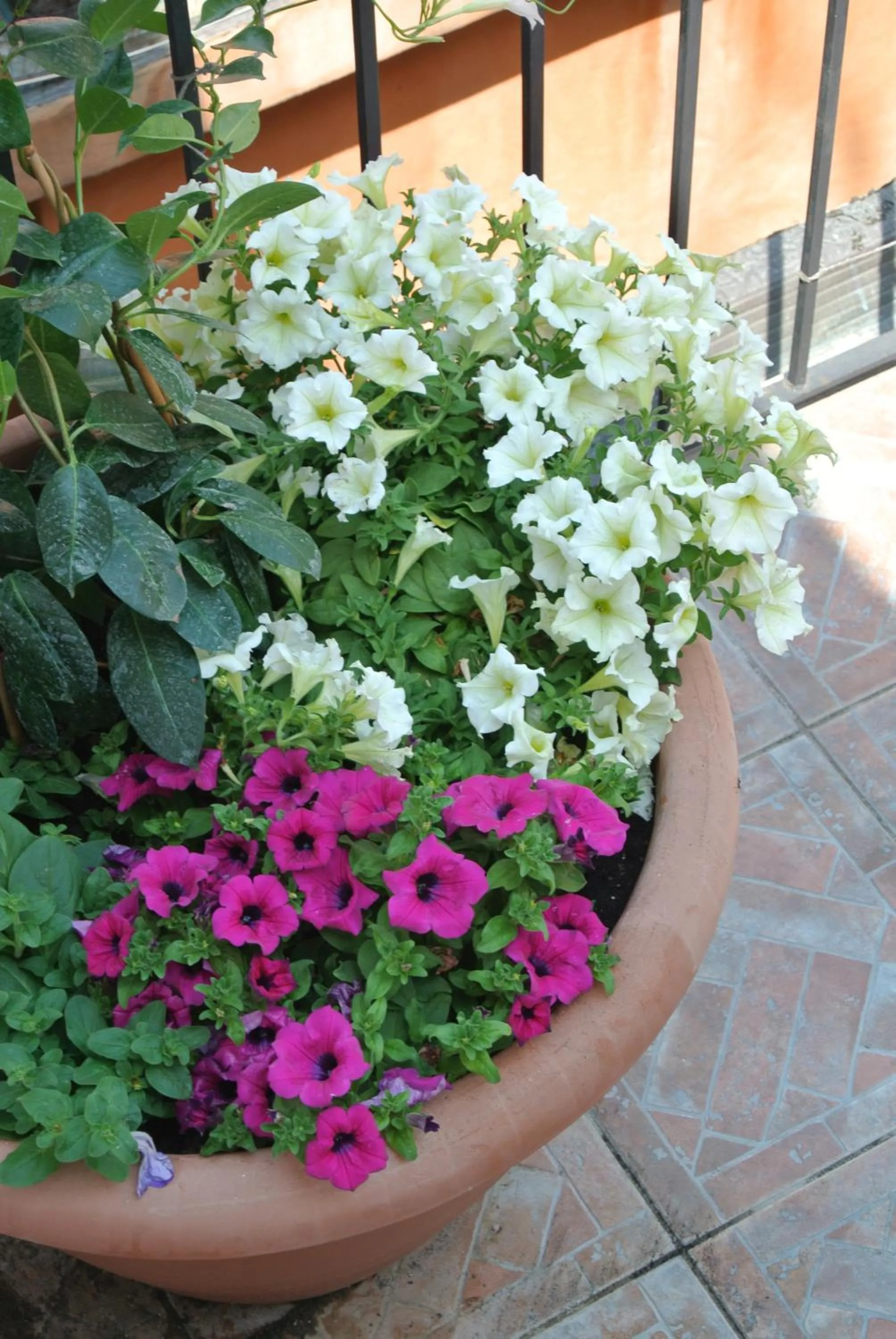 Other in Al Portico Guest House