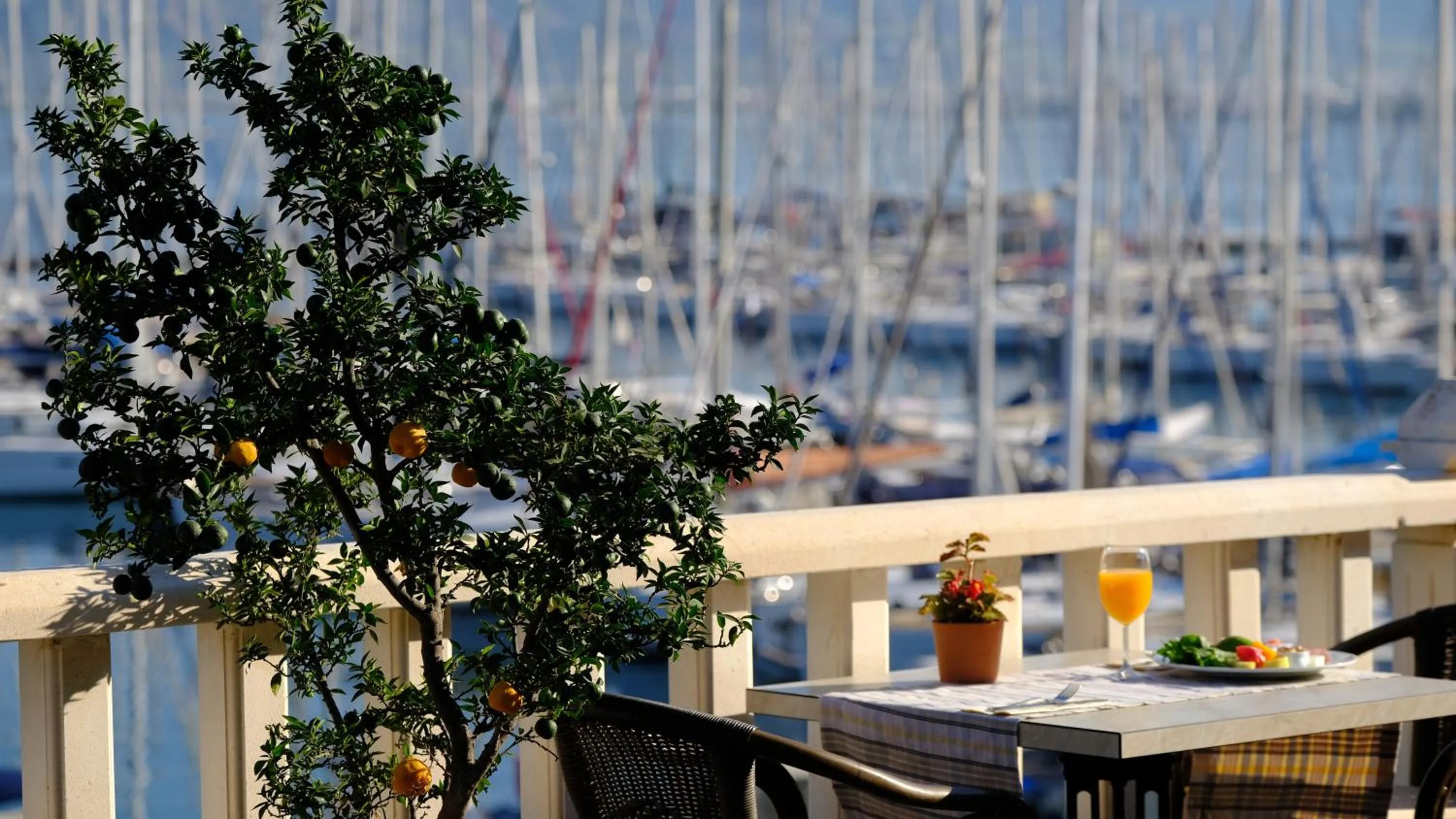 Restaurant/places to eat in Ece Saray Marina Resort