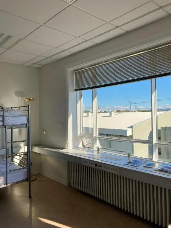 Bunk Bed in 4-Bed Female Dormitory Room in Baron's Hostel Bunk Bed in 4-Bed Female Dormitory Room in Baron's Hostel