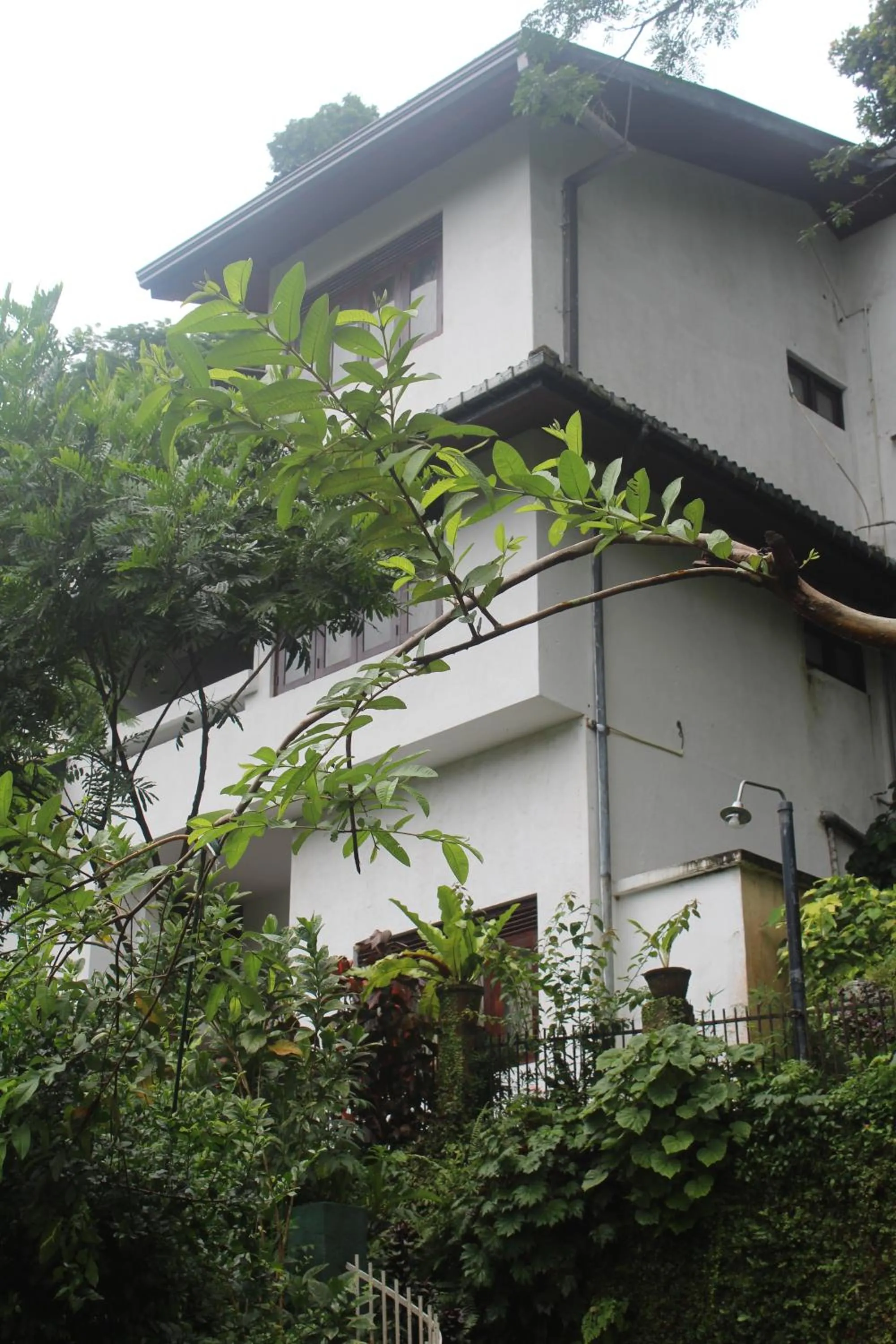 Property building in Lazy Bear Best Hostel in Kandy