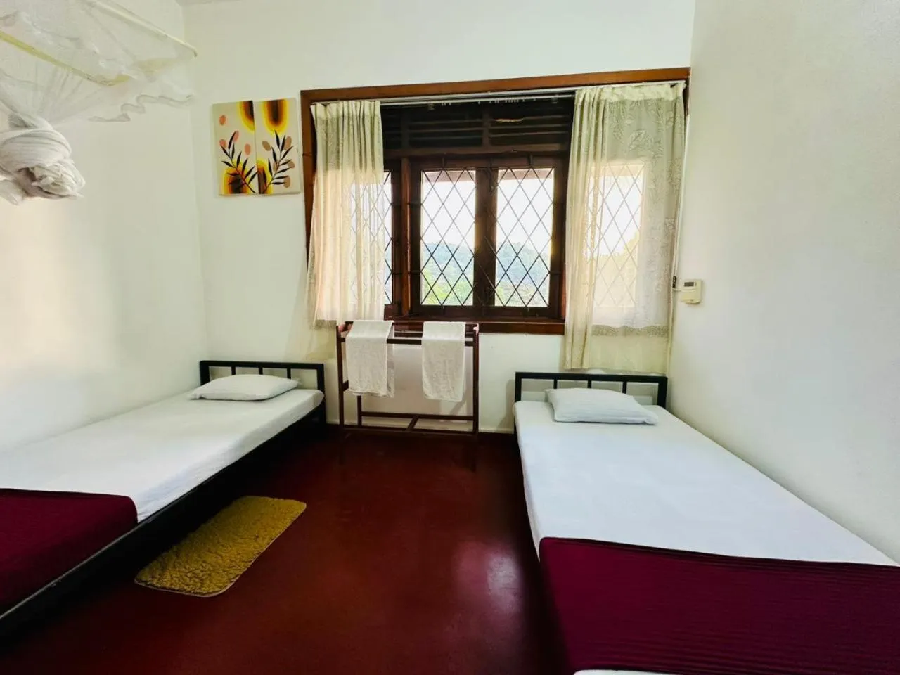 Bed in Lazy Bear Best Hostel in Kandy