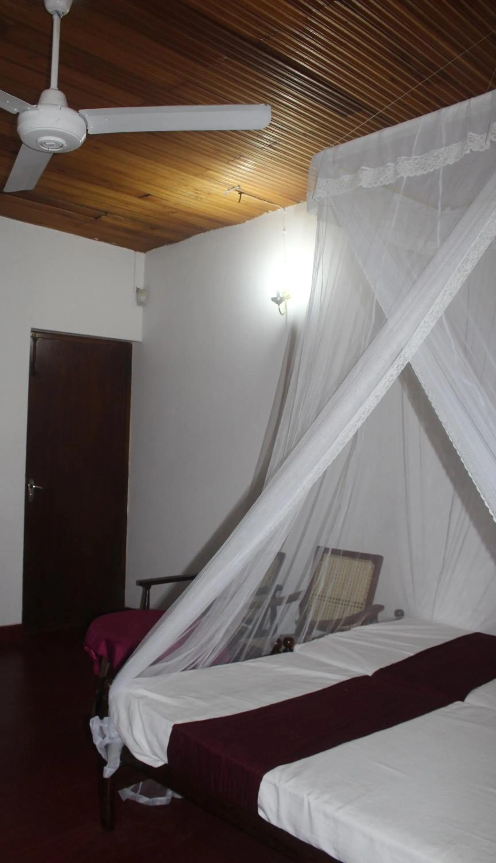 Bed in Lazy Bear Best Hostel in Kandy