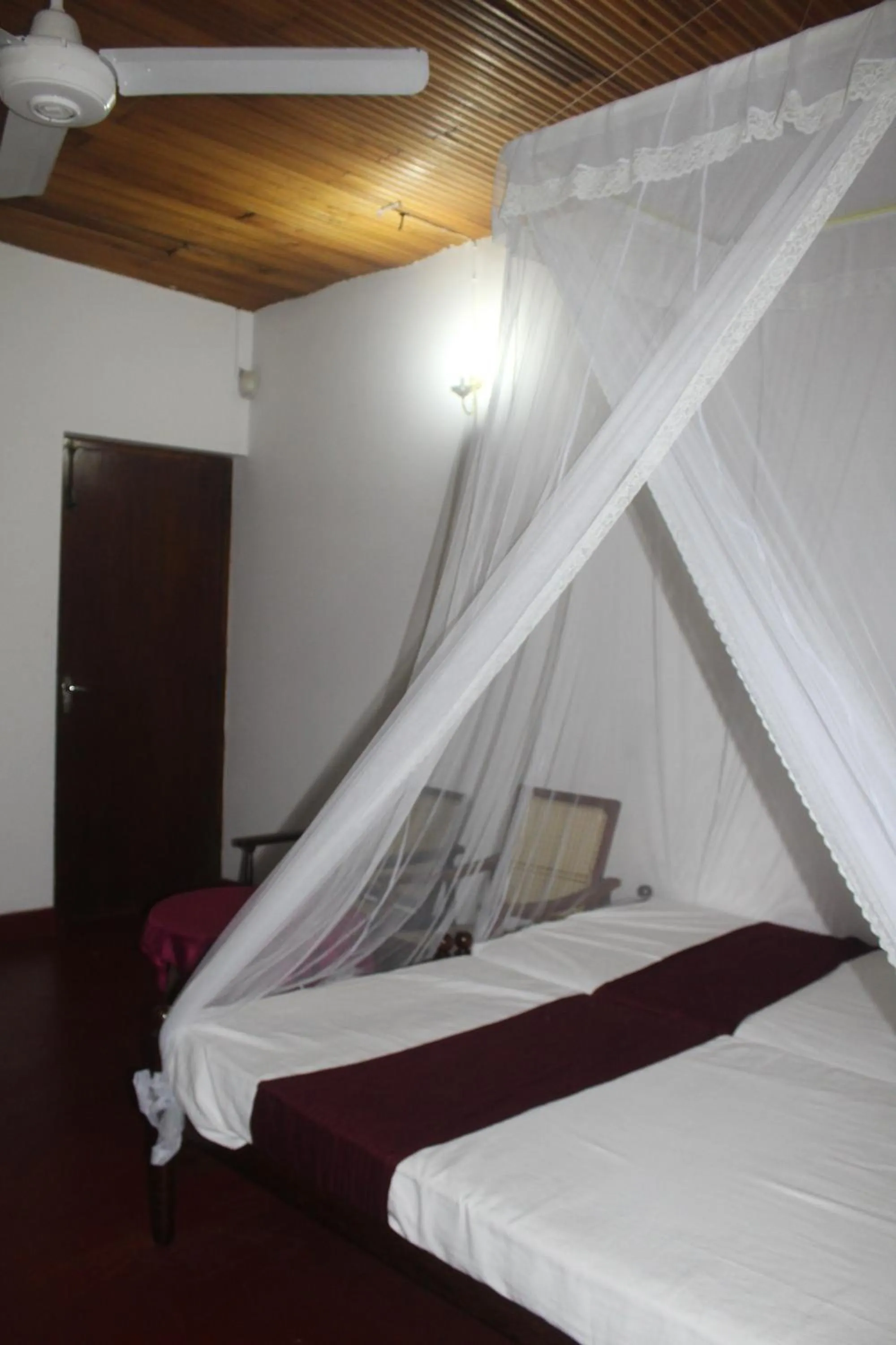 Bed in Lazy Bear Best Hostel in Kandy