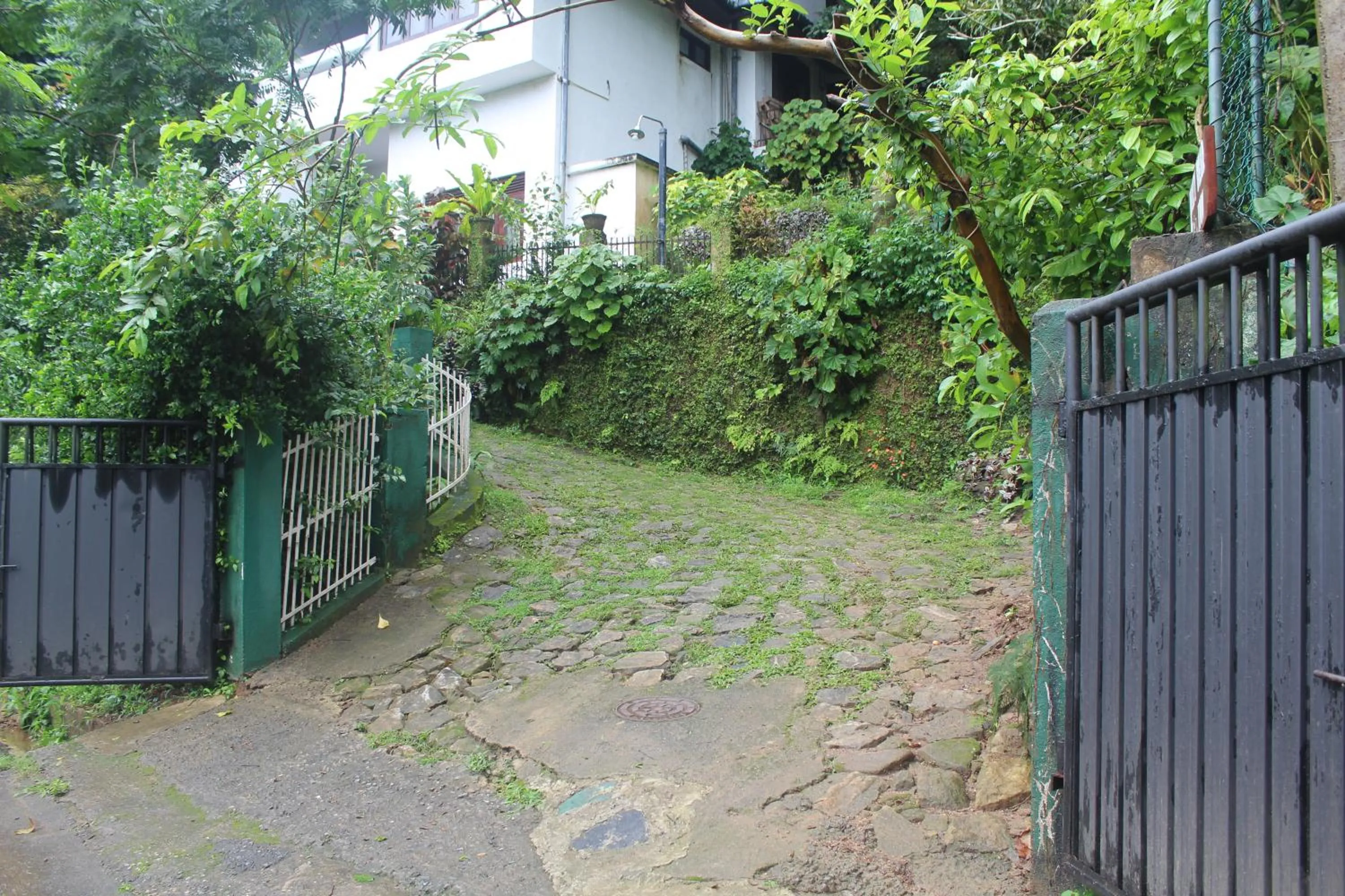 Property building in Lazy Bear Best Hostel in Kandy