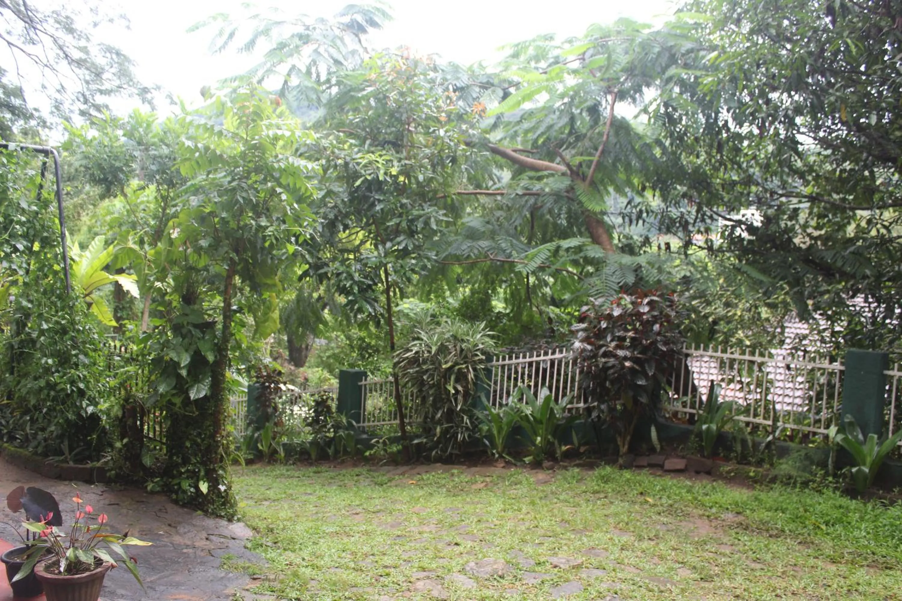 Garden in Lazy Bear Best Hostel in Kandy