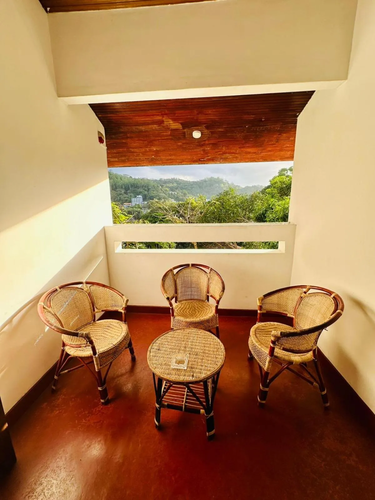 View (from property/room) in Lazy Bear Best Hostel in Kandy