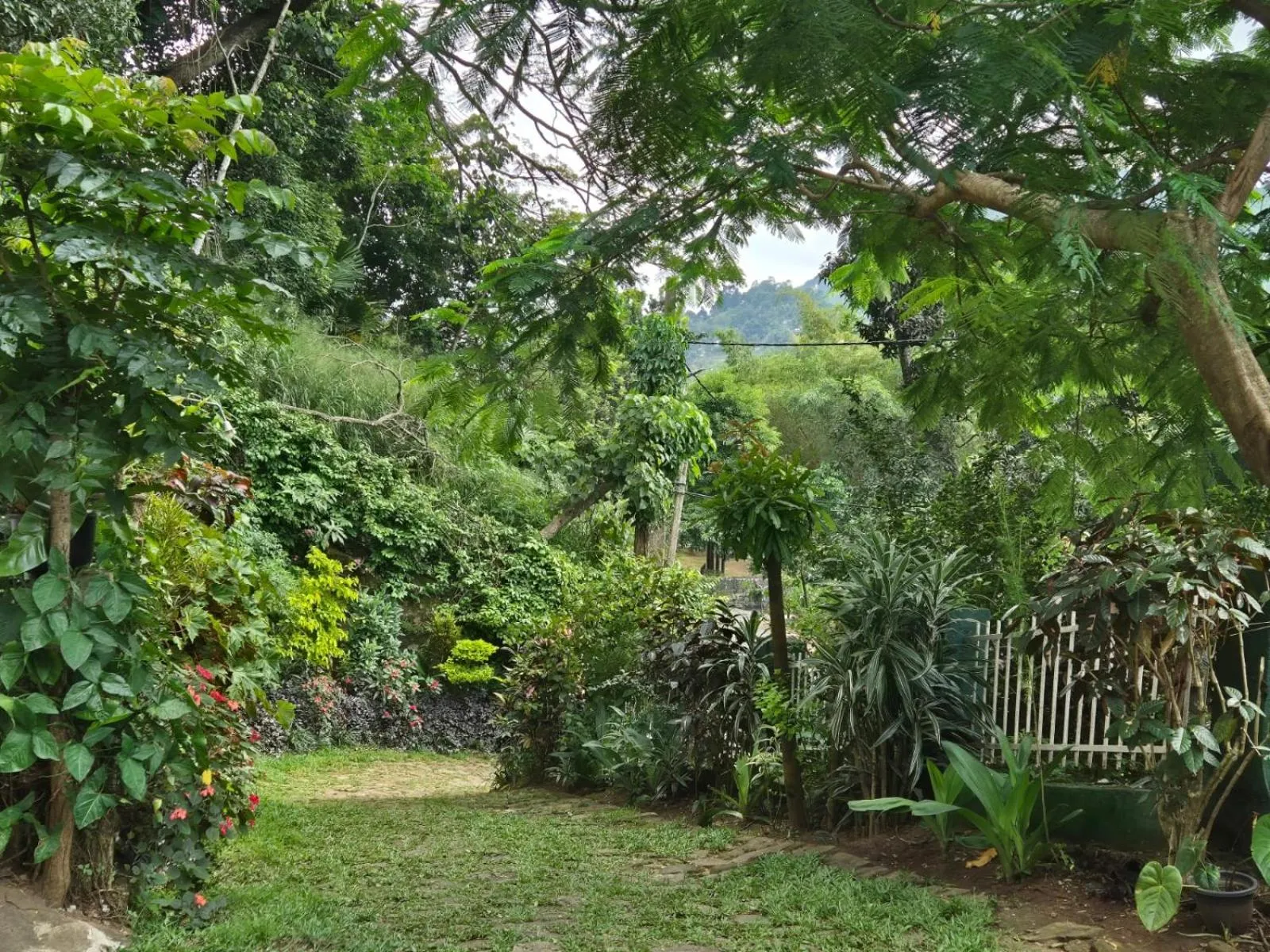 Property building in Lazy Bear Best Hostel in Kandy