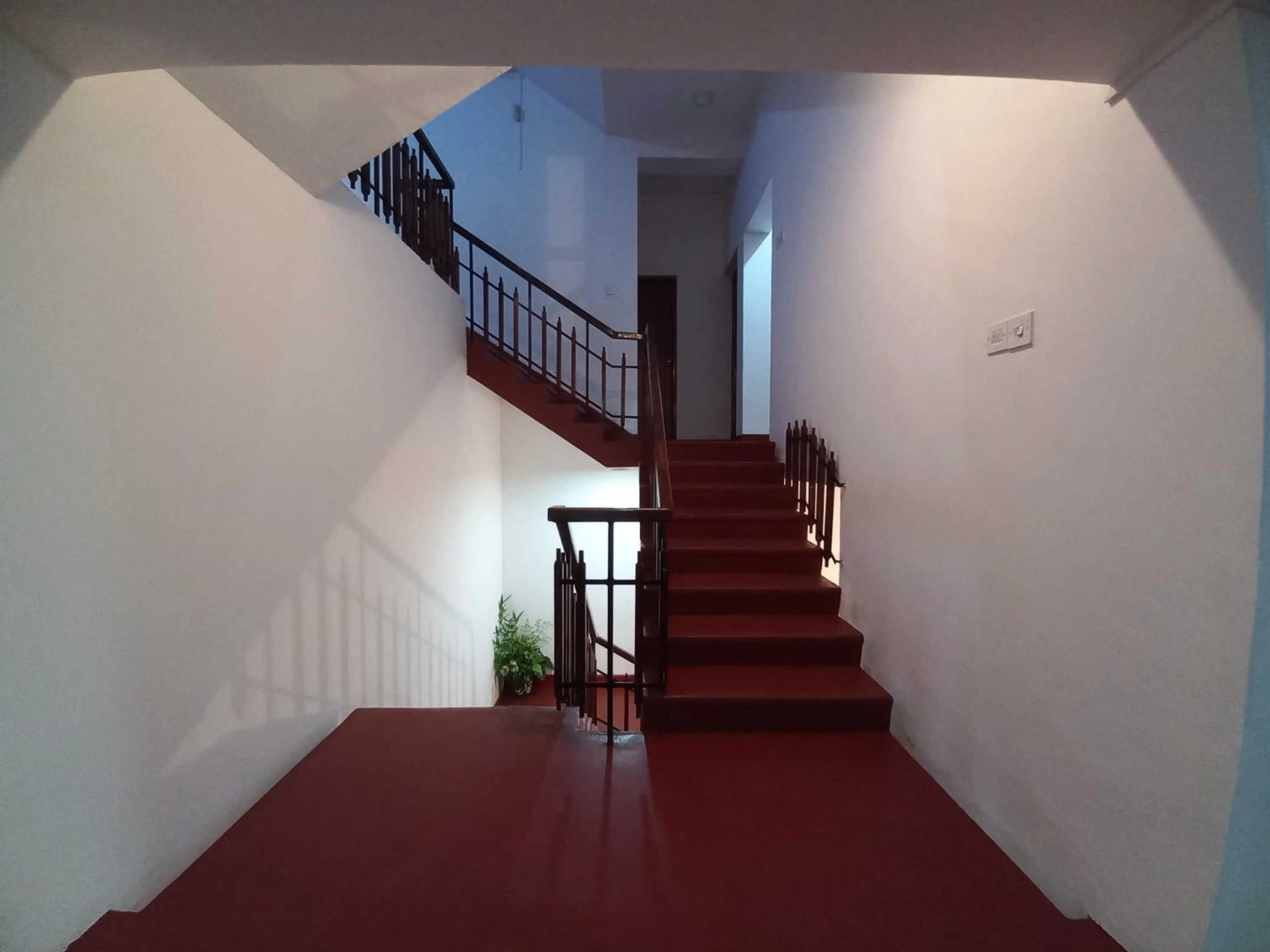 Facade/entrance in Lazy Bear Best Hostel in Kandy